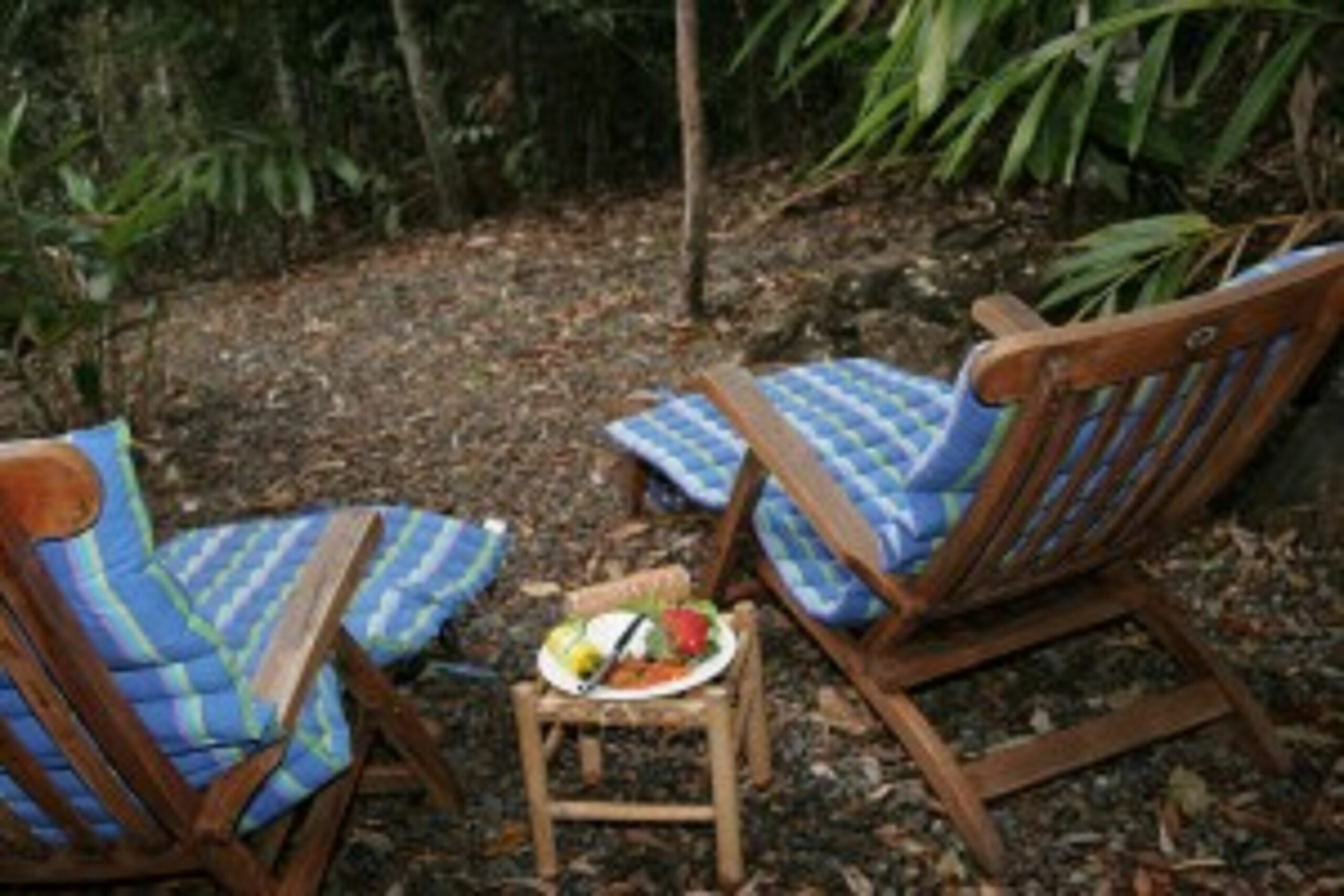 Lyola Pavilions in the Forest