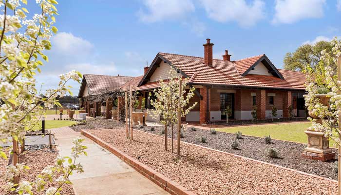 Barossa Shiraz Masterclass