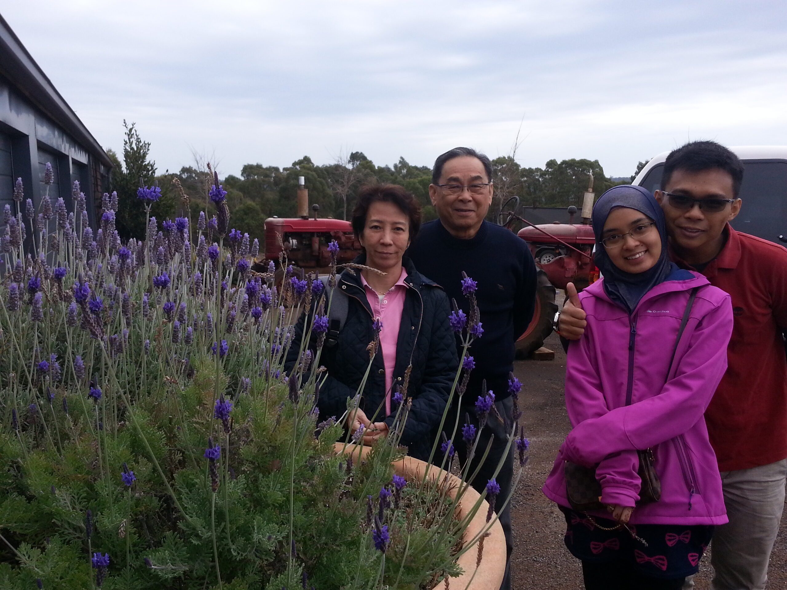 Bridestowe Lavender Farm shuttle