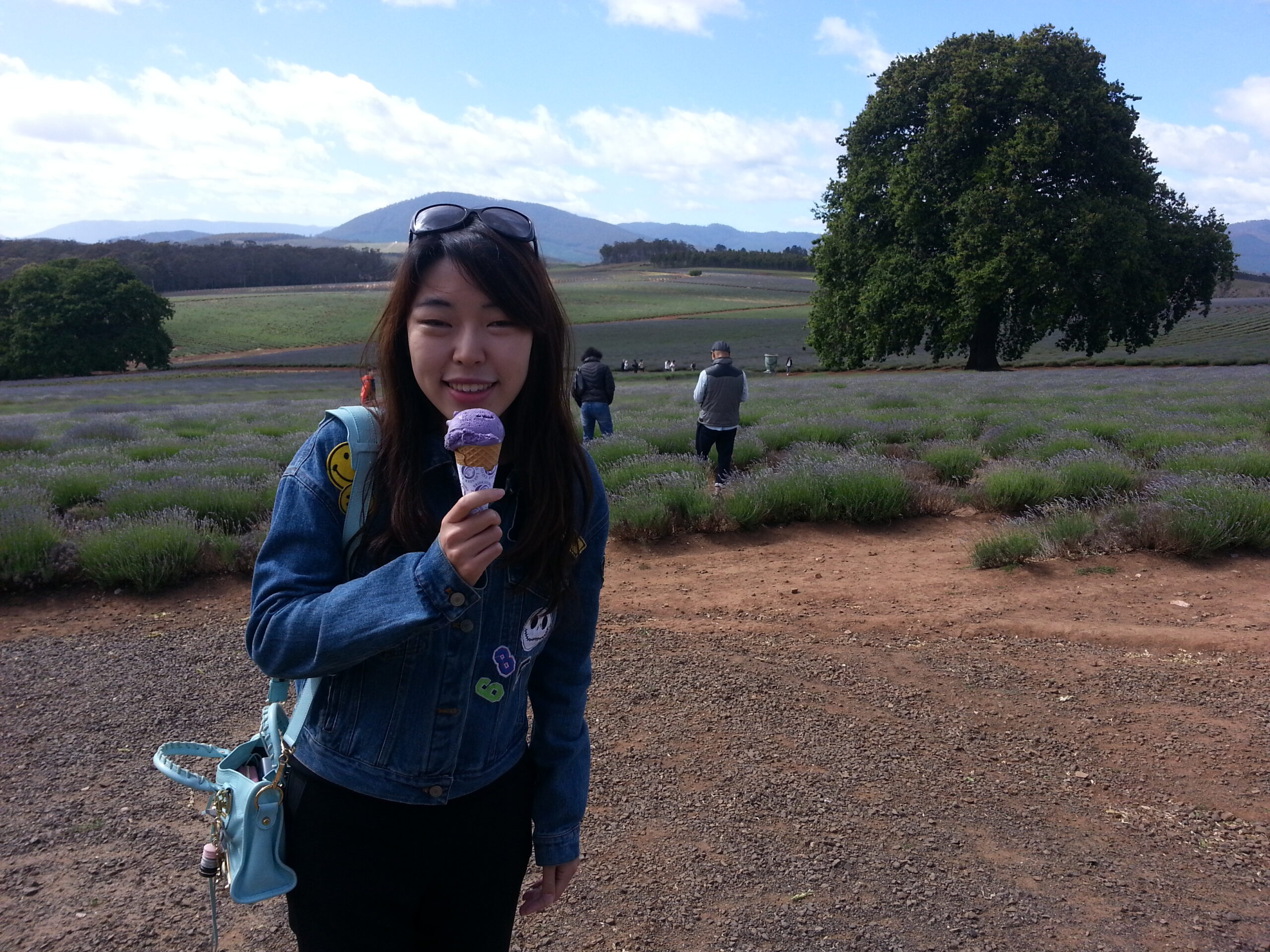 Bridestowe Lavender Farm shuttle