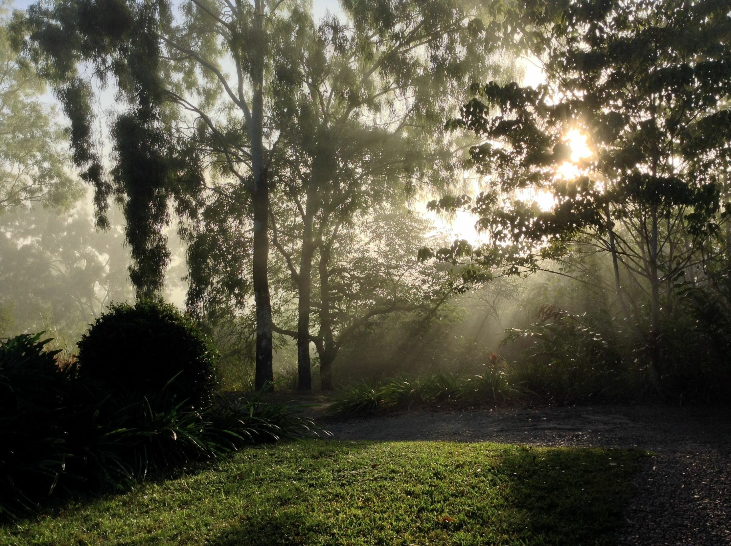 Seclude Rainforest Retreat