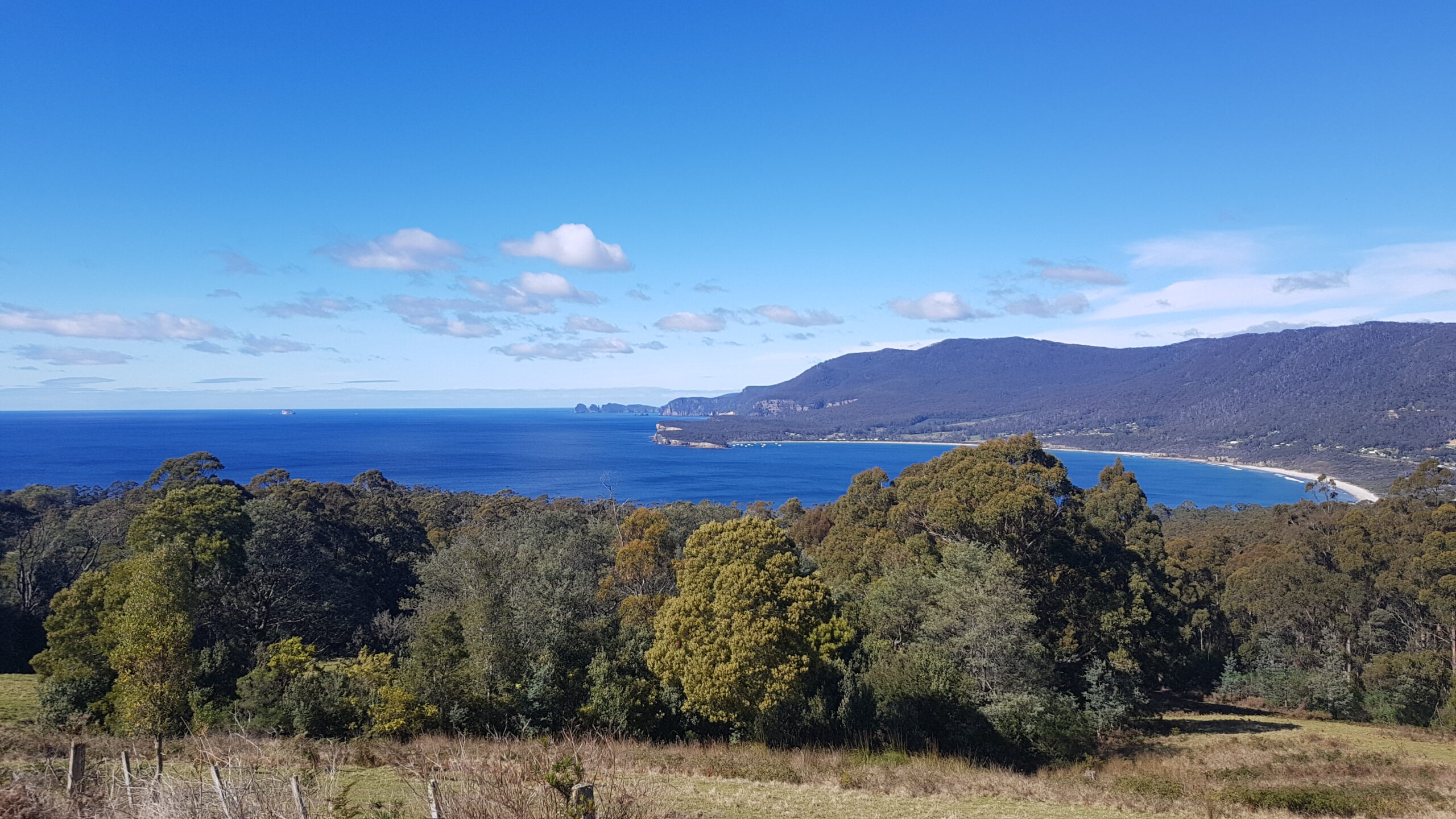 Port Arthur & Tasman Peninsula Day Tour