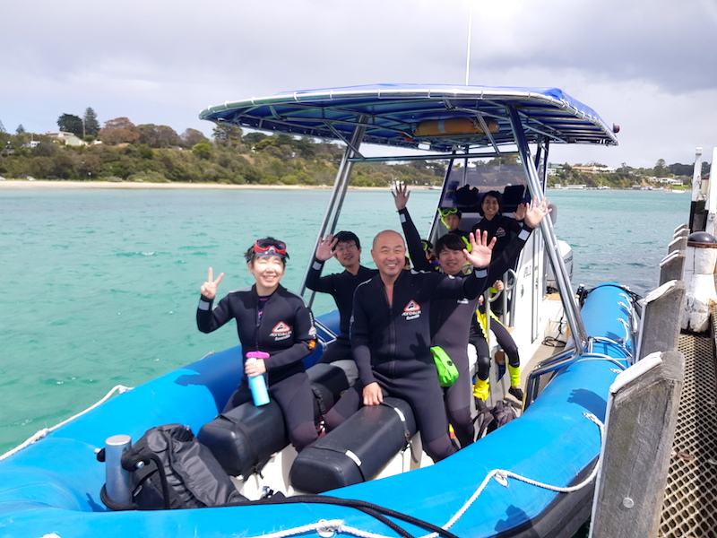 2hr Dolphin and Seal Swim Reef Snorkel Tour