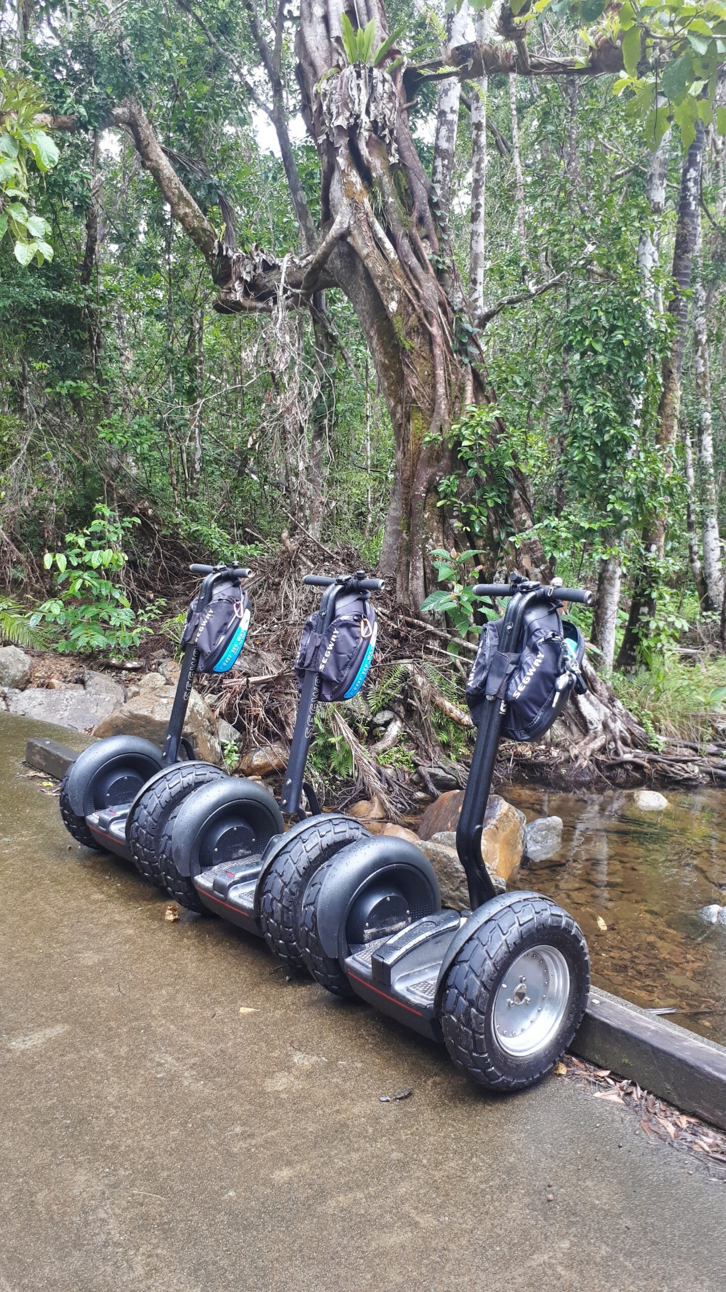 Segway Rainforest Discovery Tour