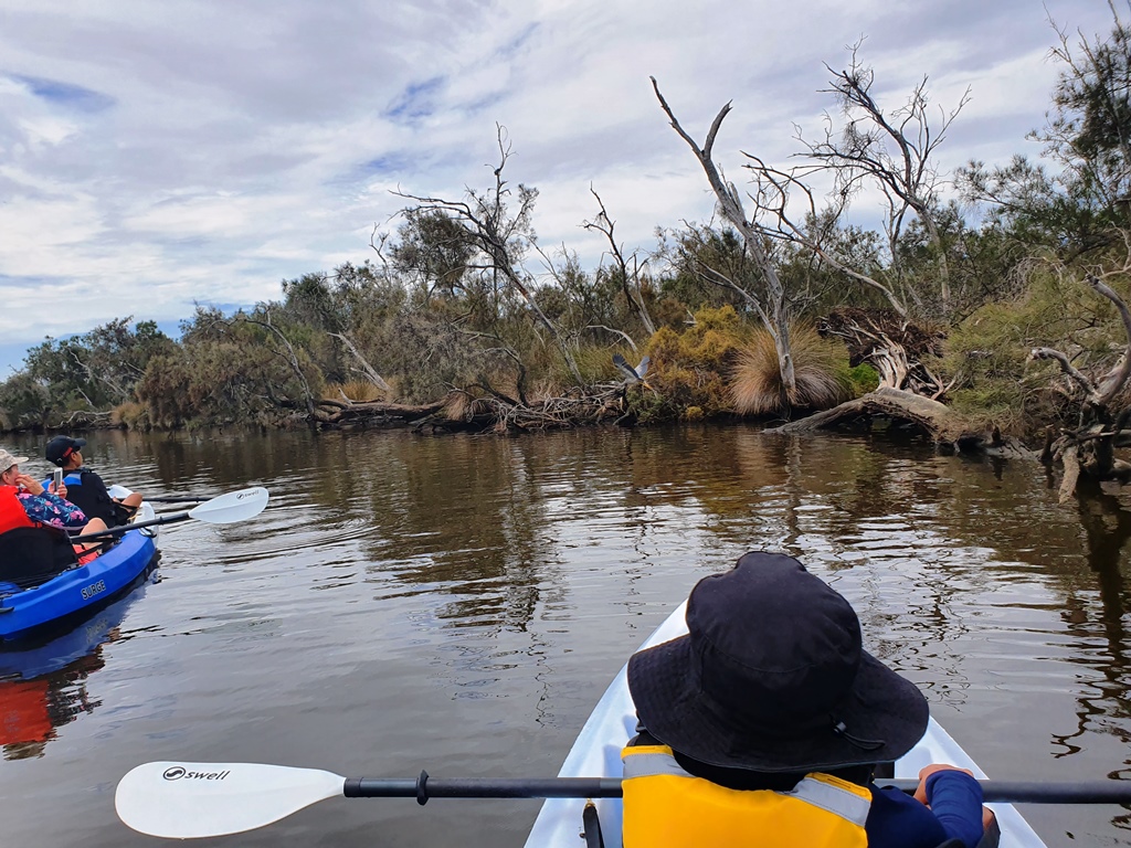 Explore Canning River Wetlands Kayak Tour
