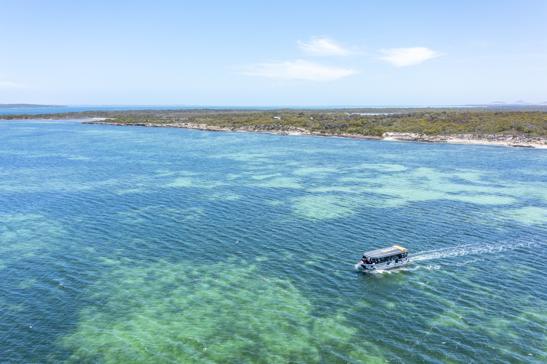 Coffin Bay Short and Sweet Oyster Farm Tour - 6 Oysters Included