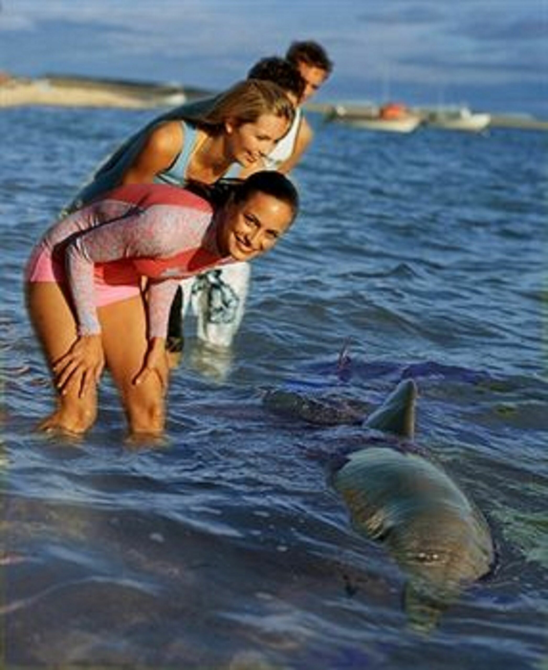 RAC Monkey Mia Dolphin Resort