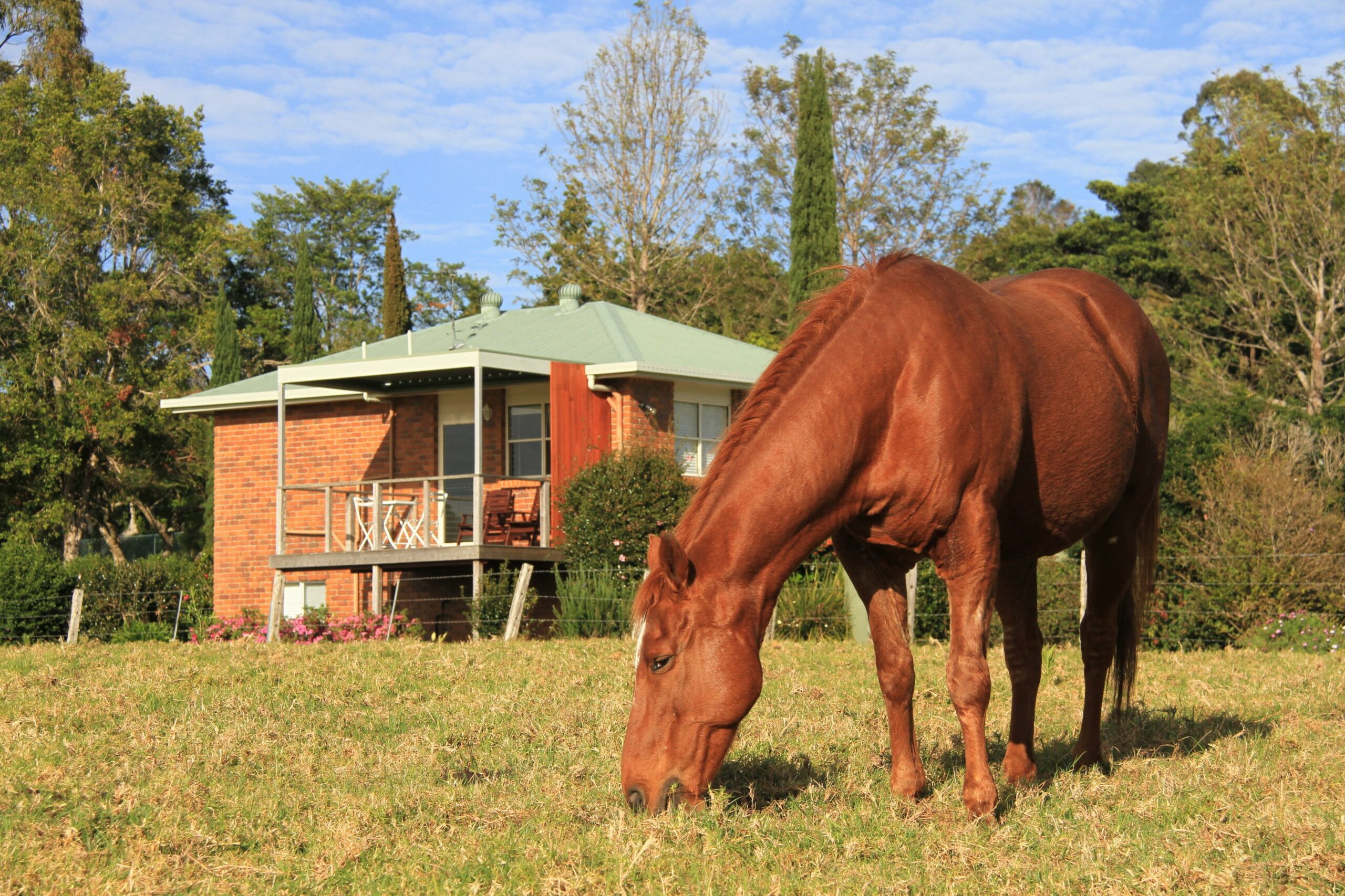 Seasons of Maleny B&B