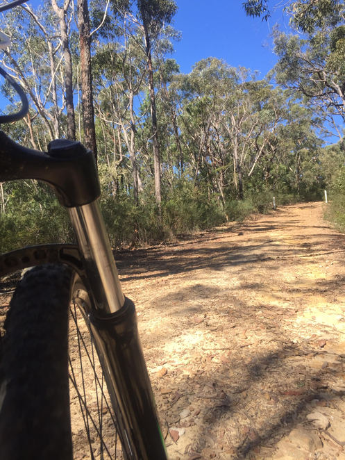 Blue Mountains - Katoomba - 4 Day Bike Hire