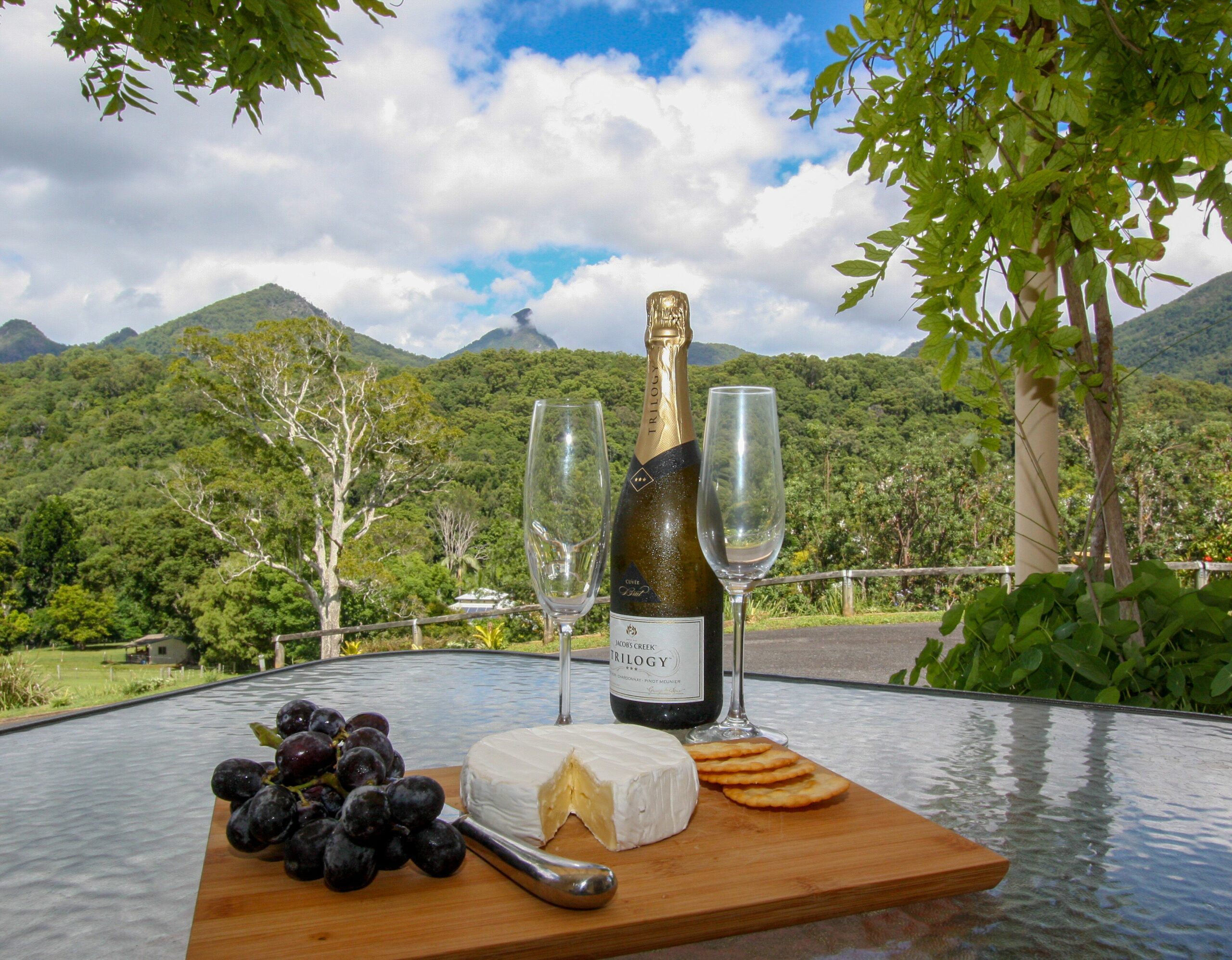 A View of Mt Warning Bed and Breakfast