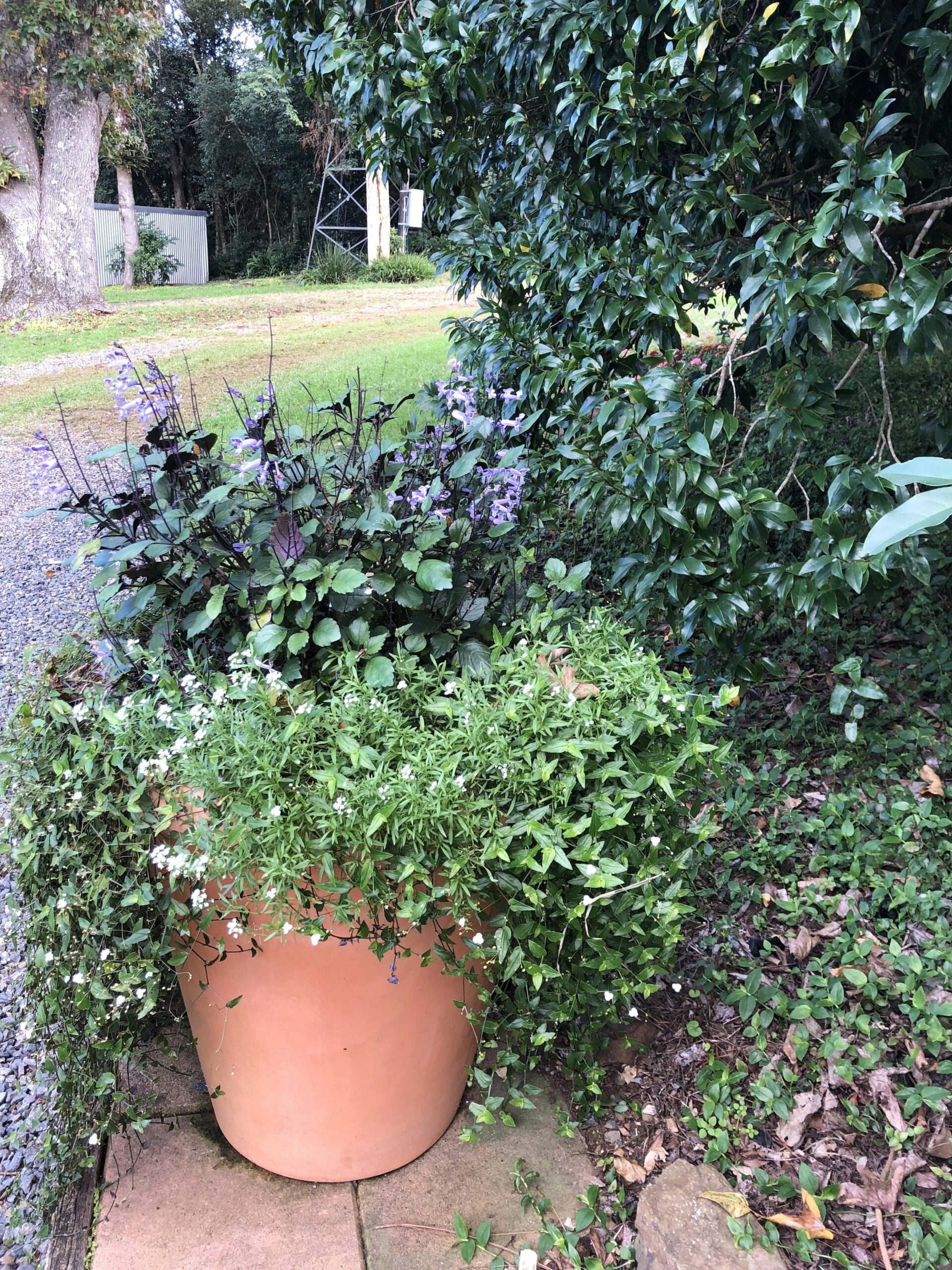 Maleny Mountain Retreat