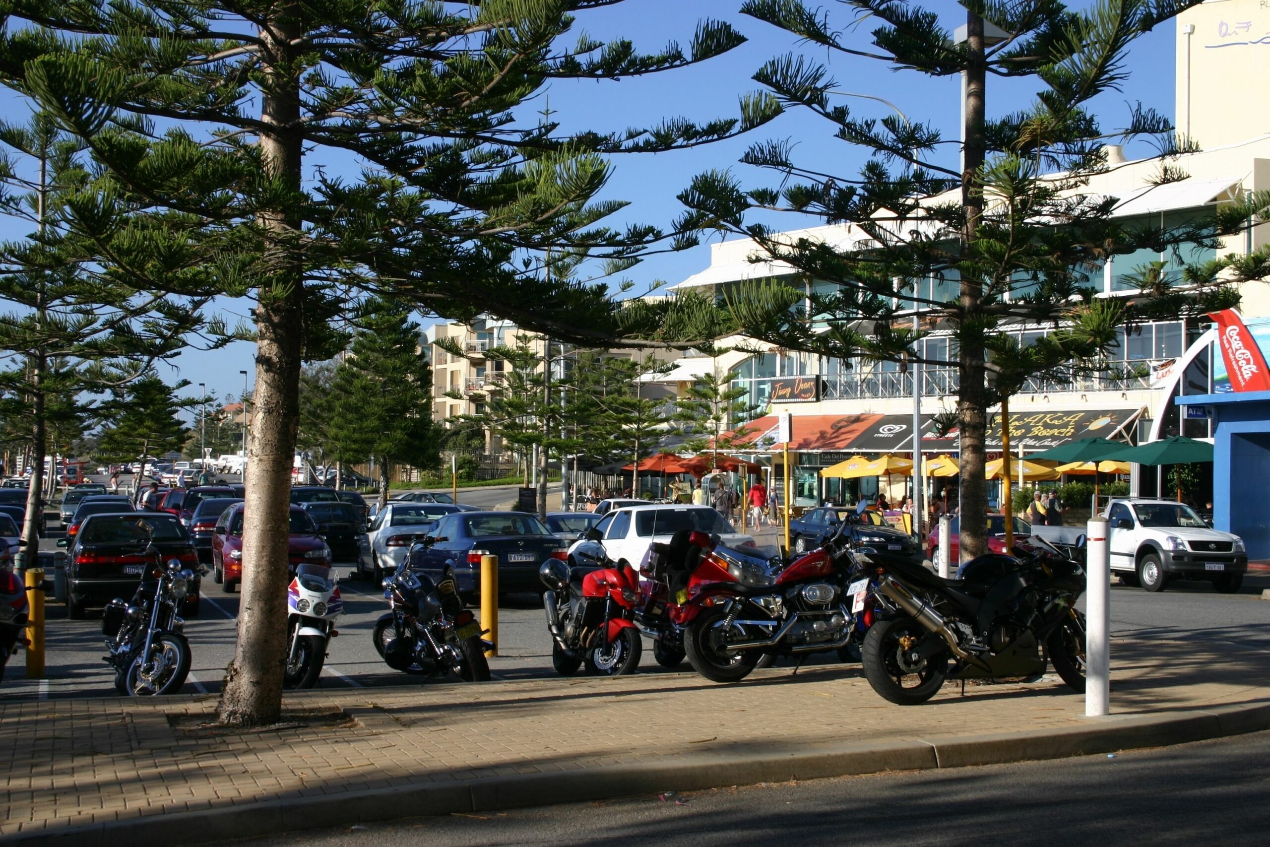 Scarborough & Absolutely Beachfront