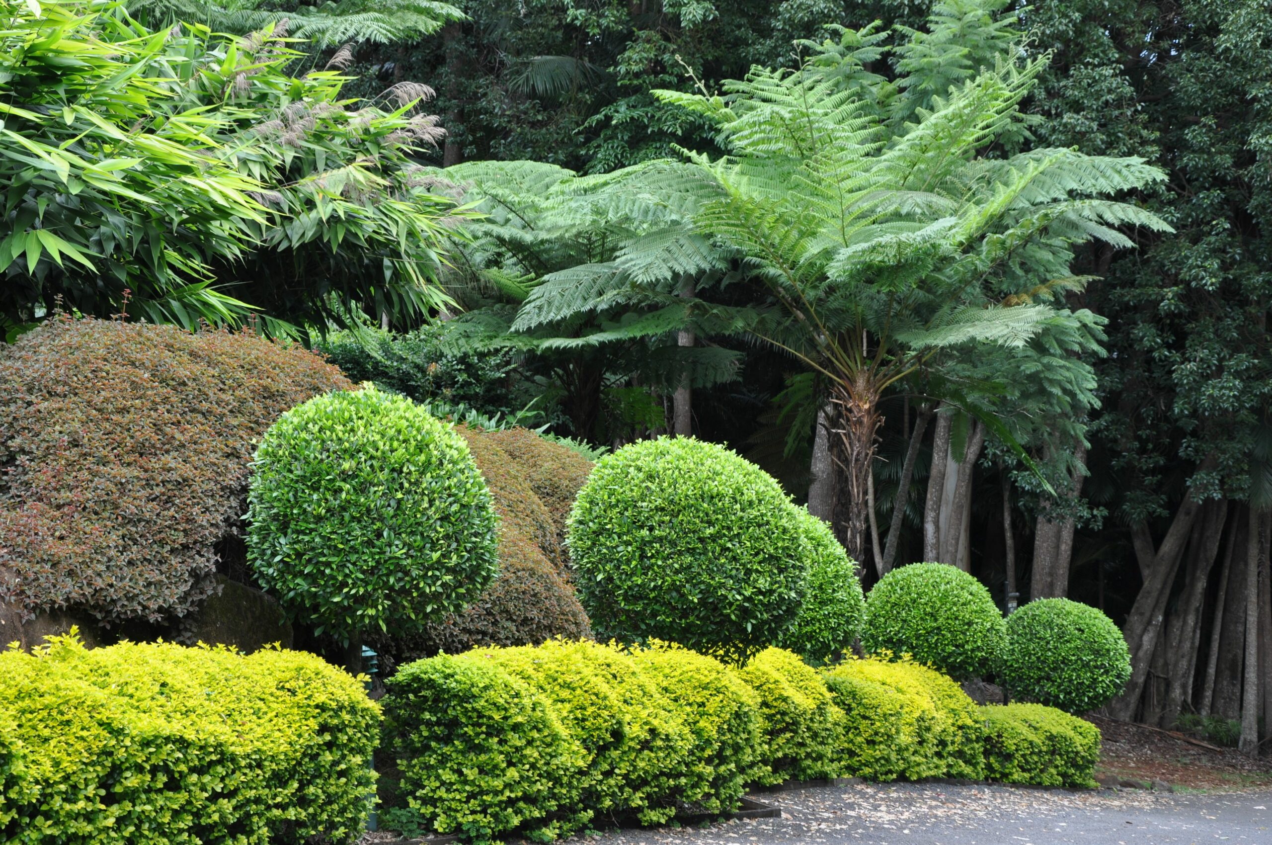 The Escarpment Retreat