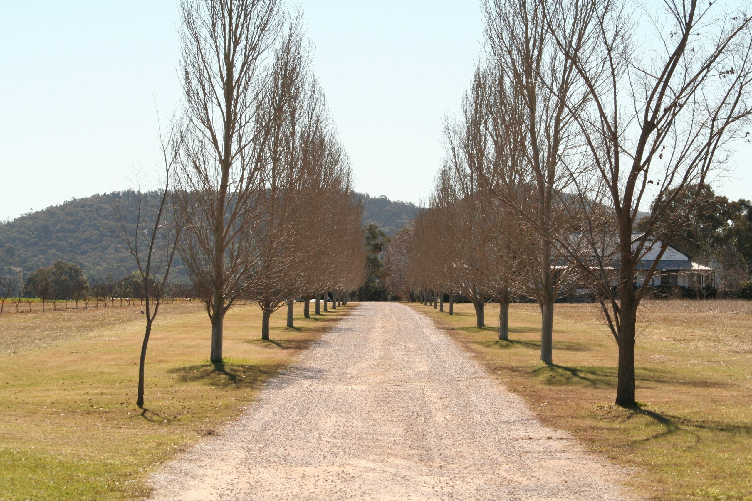 The Farmhouse at Blue Wren Wines