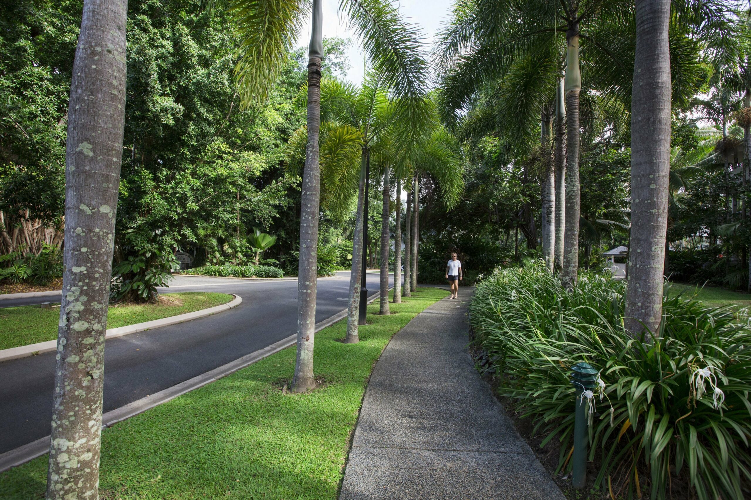 Oasis at Palm Cove