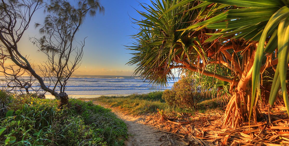 Anchorage Holiday Park - Iluka