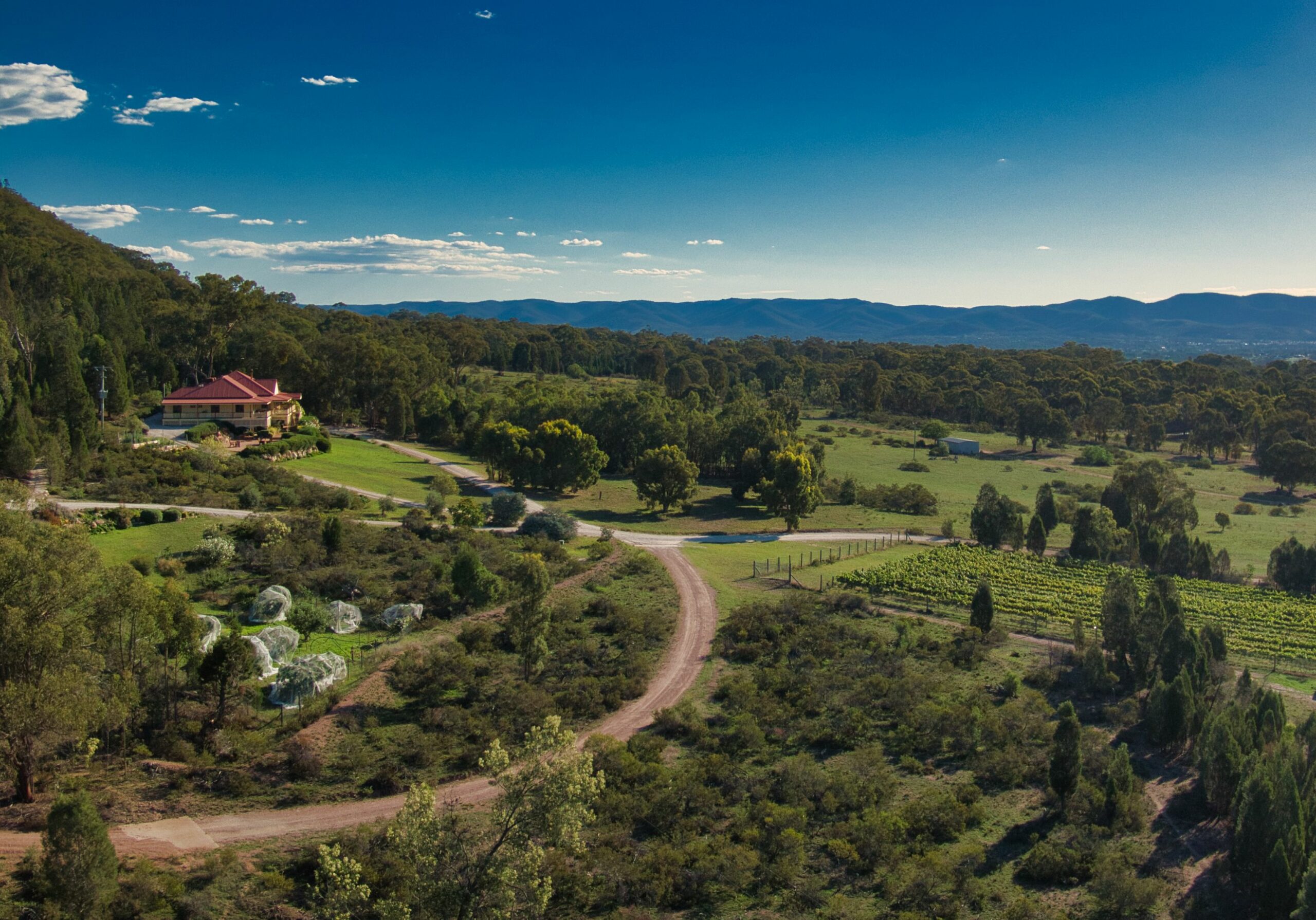 The Mudgee Homestead Guesthouse