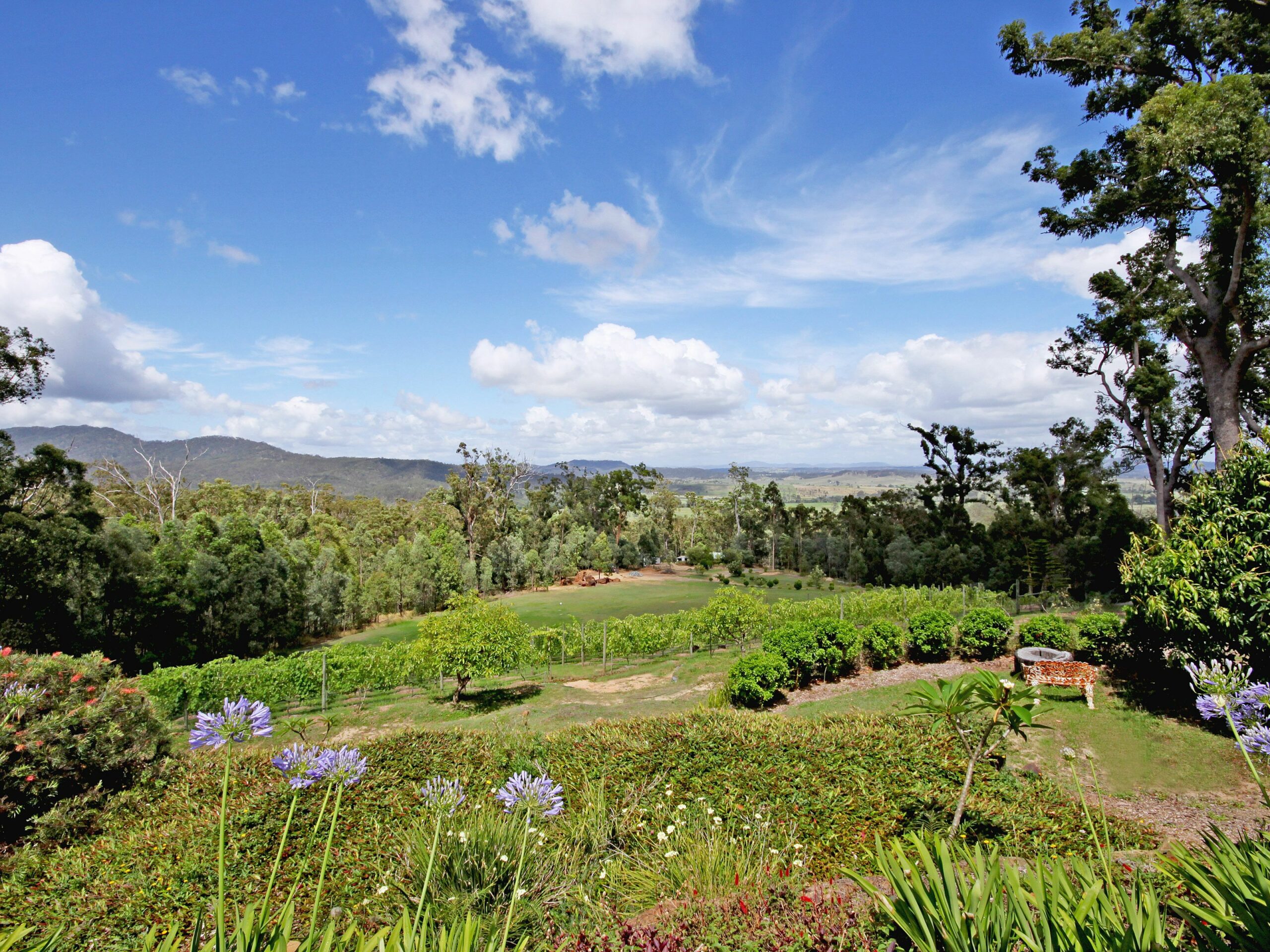 Wallaby Ridge Retreat