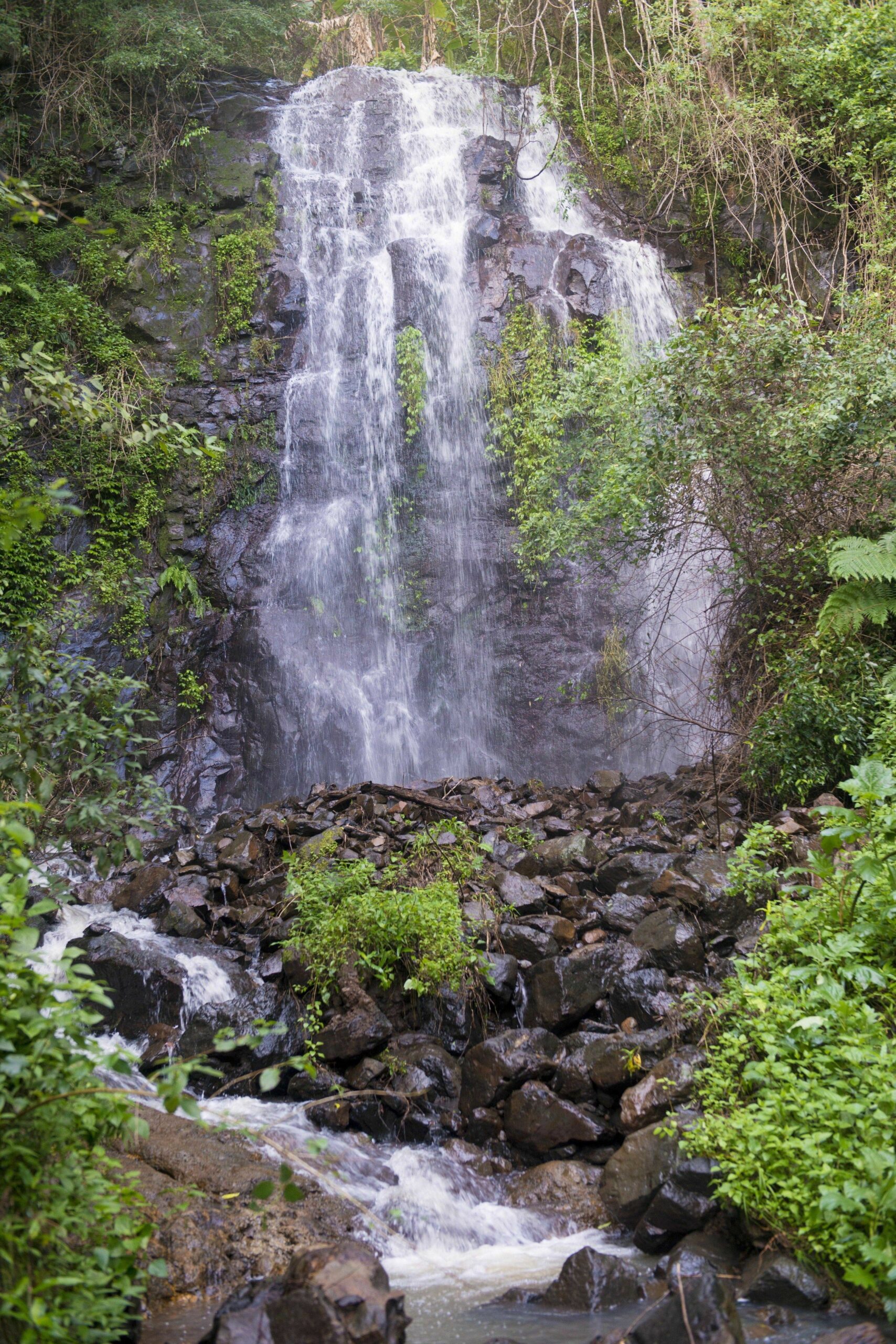 Nimbin Waterfall Retreat