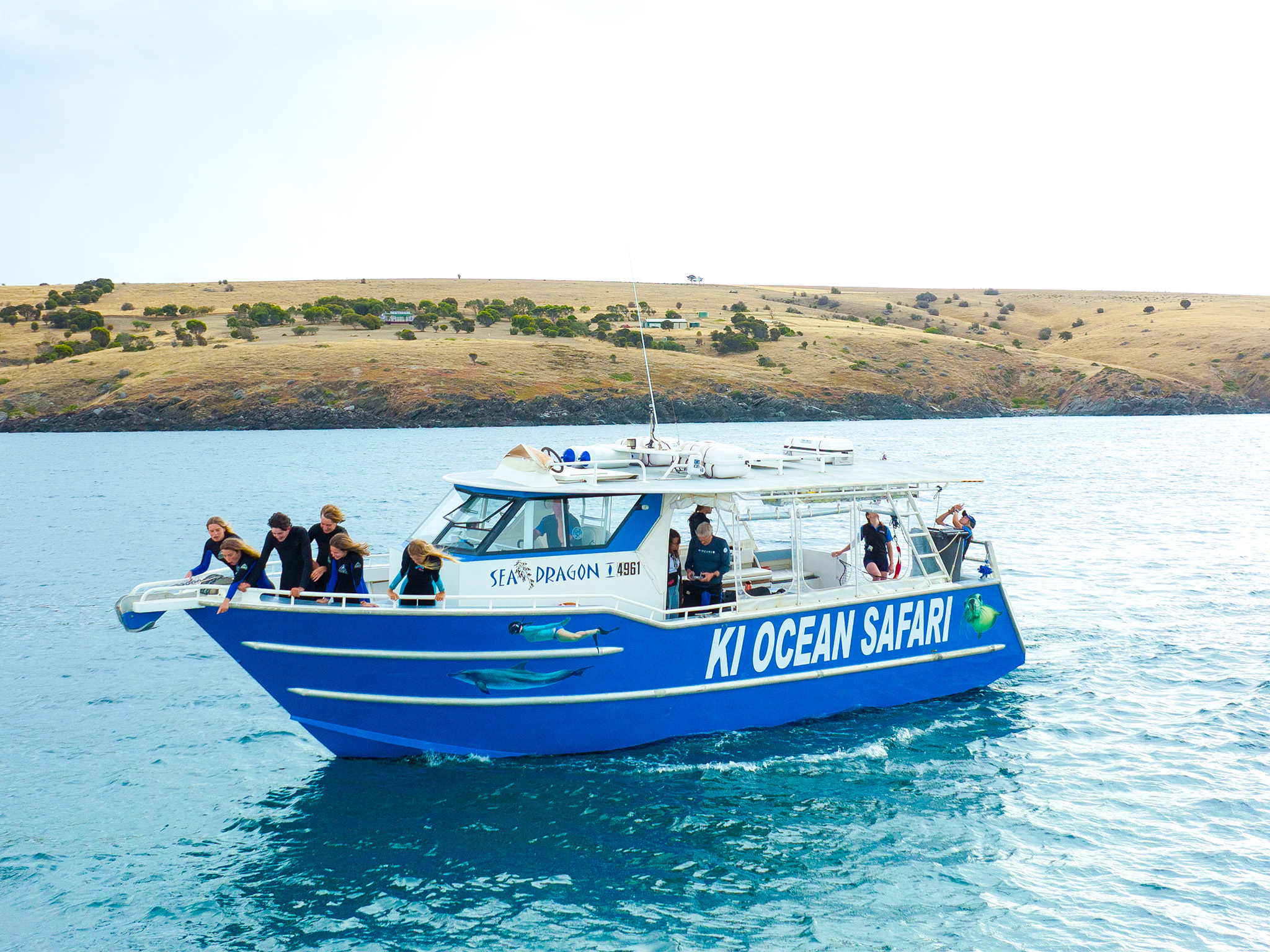 Kangaroo Island Ocean Safari - 2 hour SWIM with dolphin / seal / coastal snorkelling