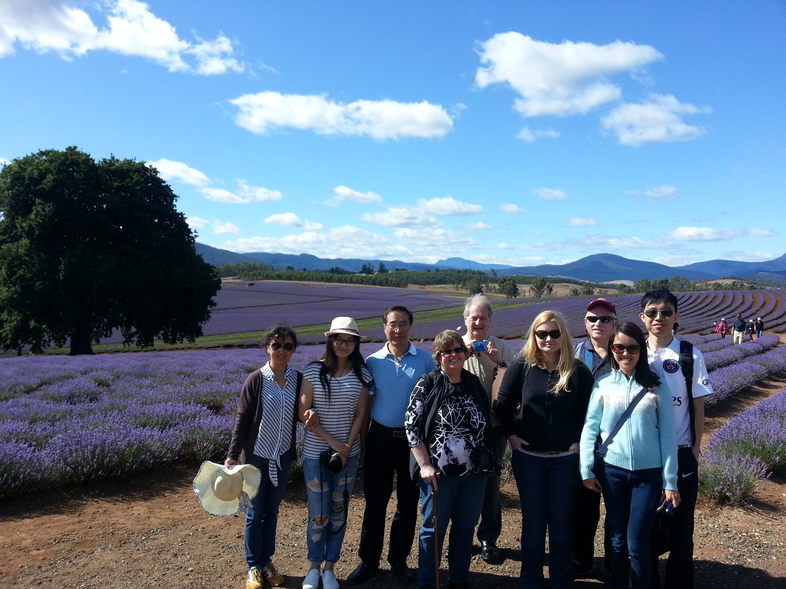 Bridestowe Lavender Farm shuttle