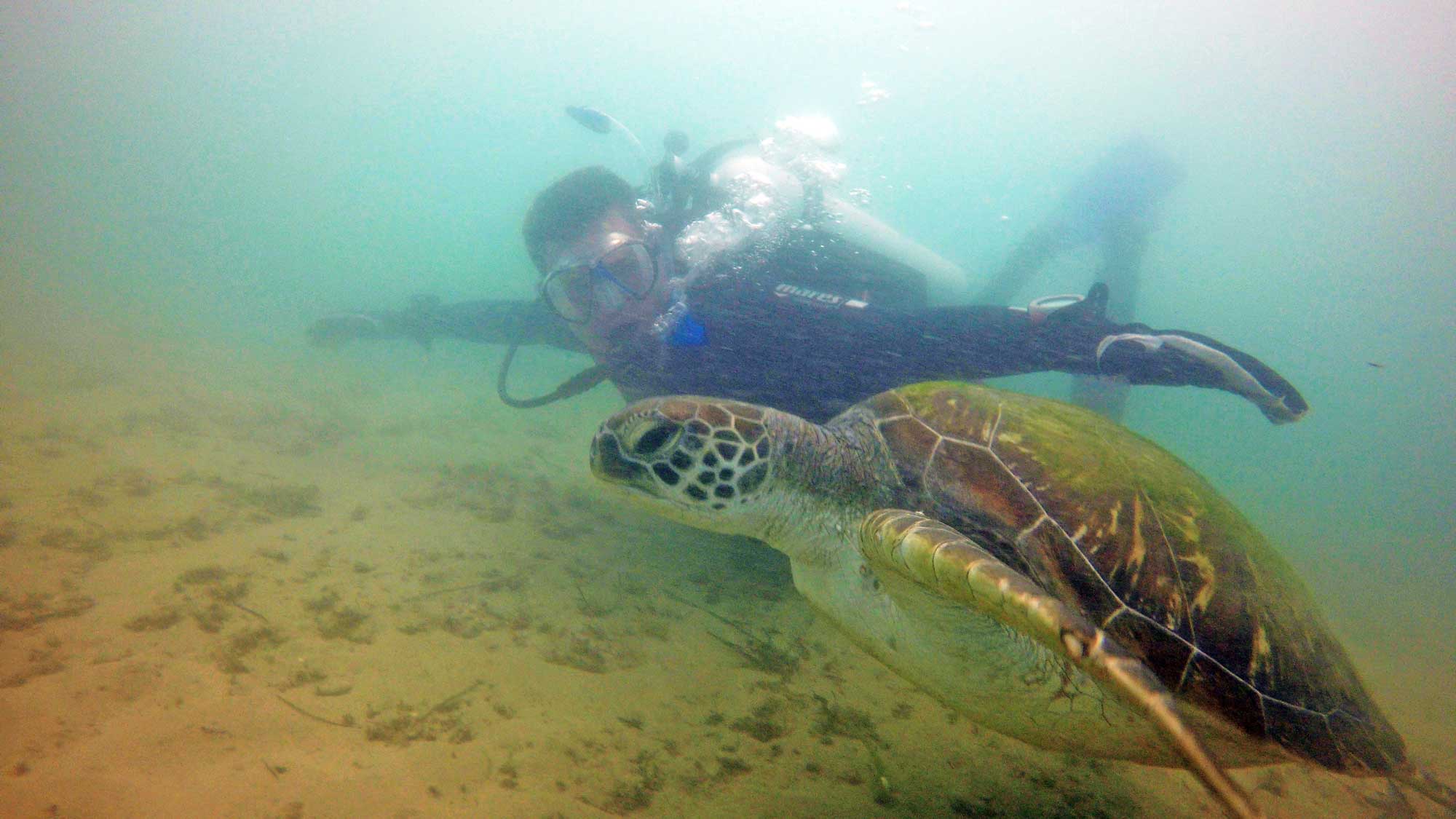 PADI Open Water Course