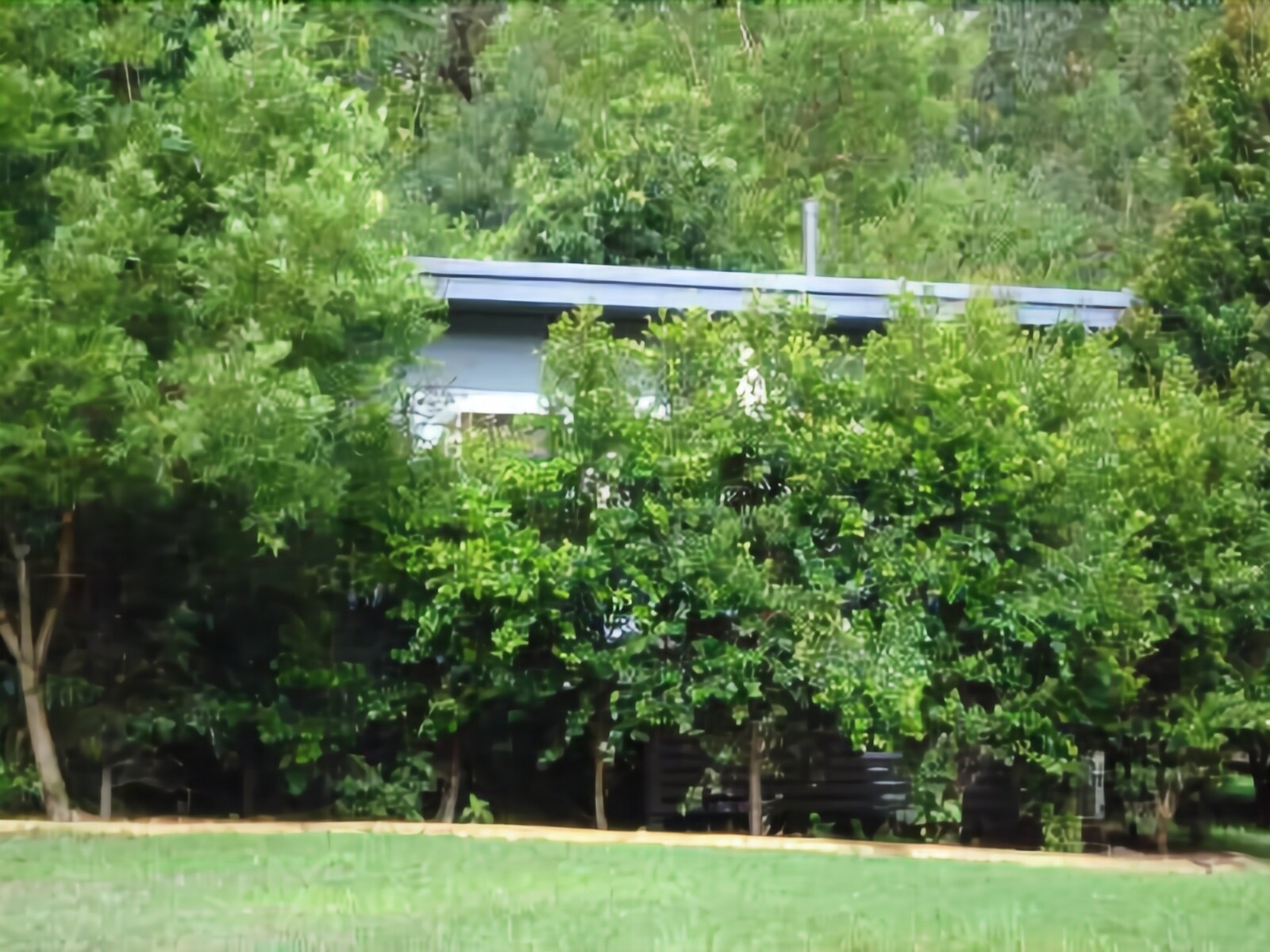 Mapleton Cabins & Caravan Park