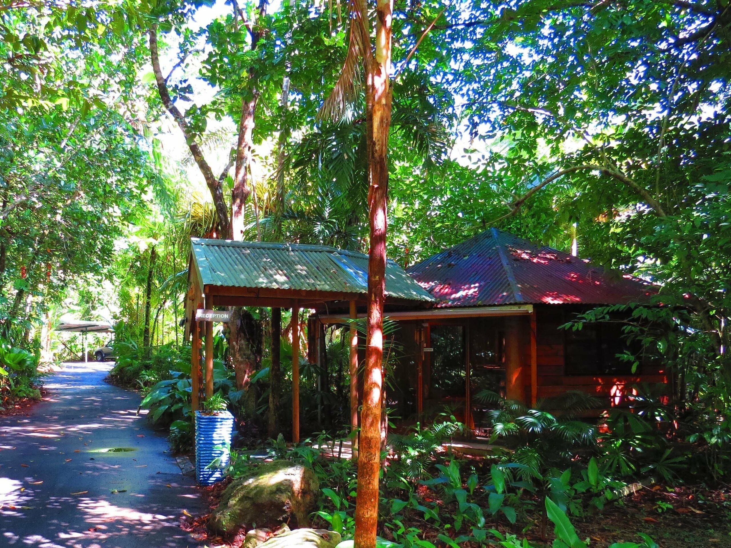 Daintree Rainforest Retreat