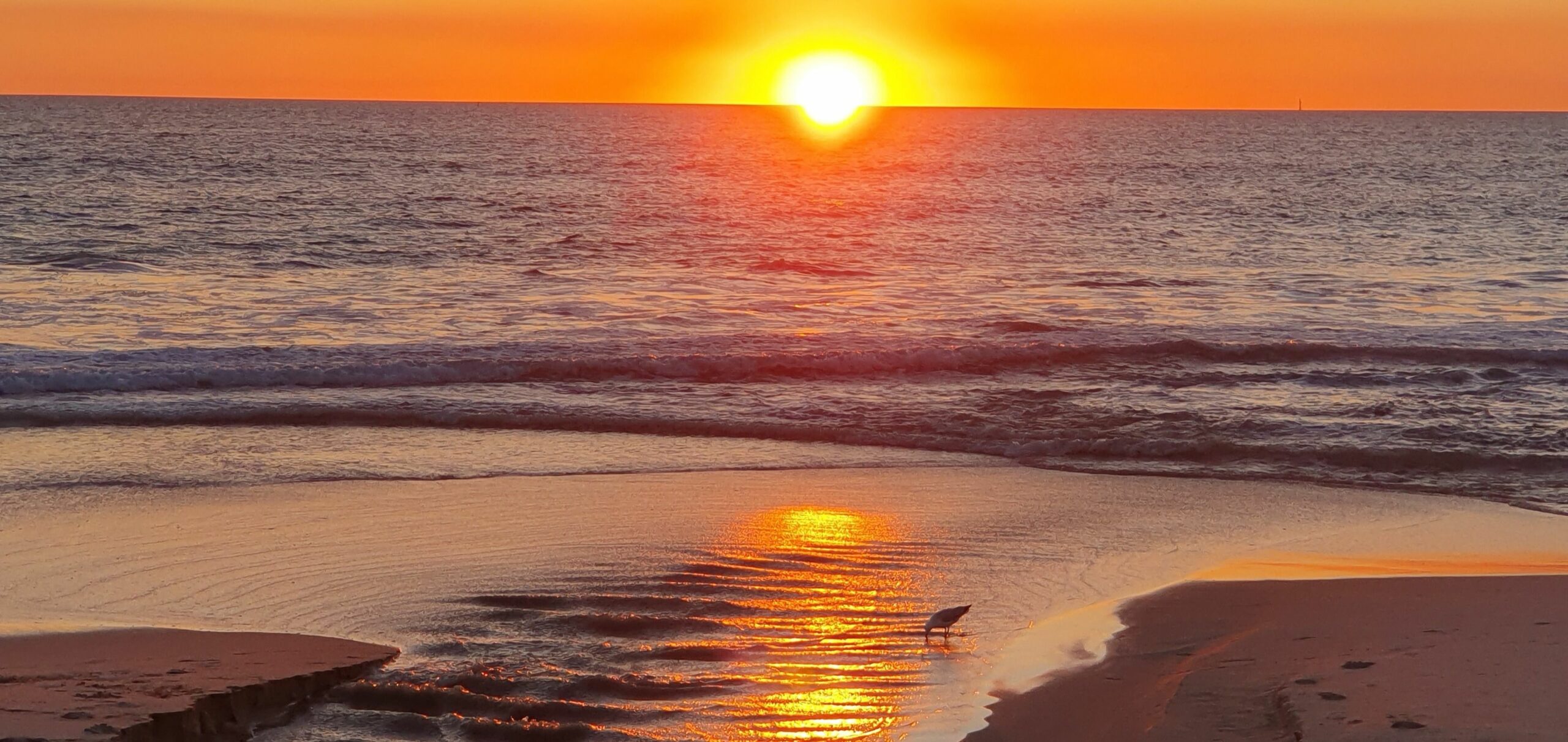 Scarborough Beach Front Resort - Shell 7