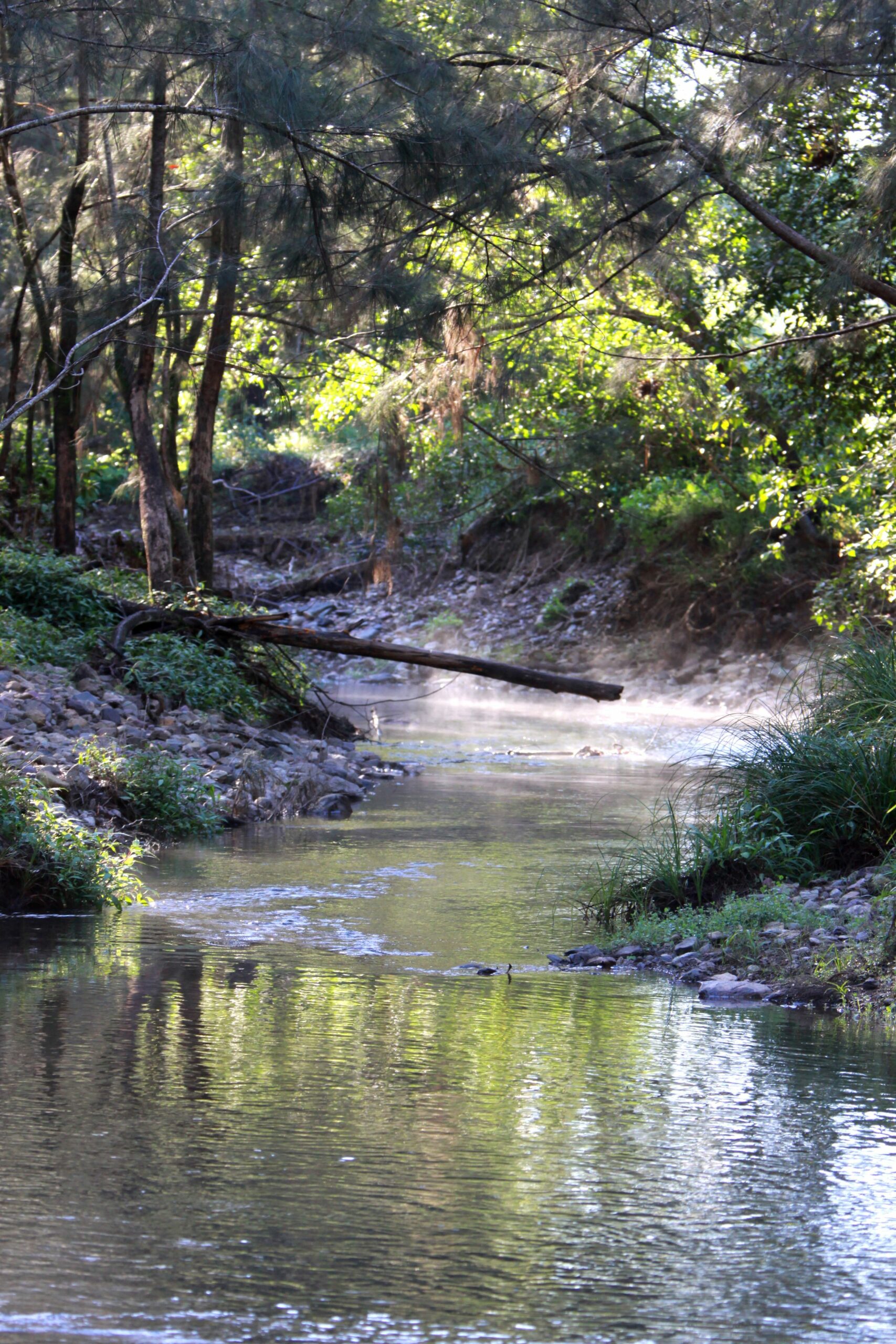 Yabbaloumba Retreat