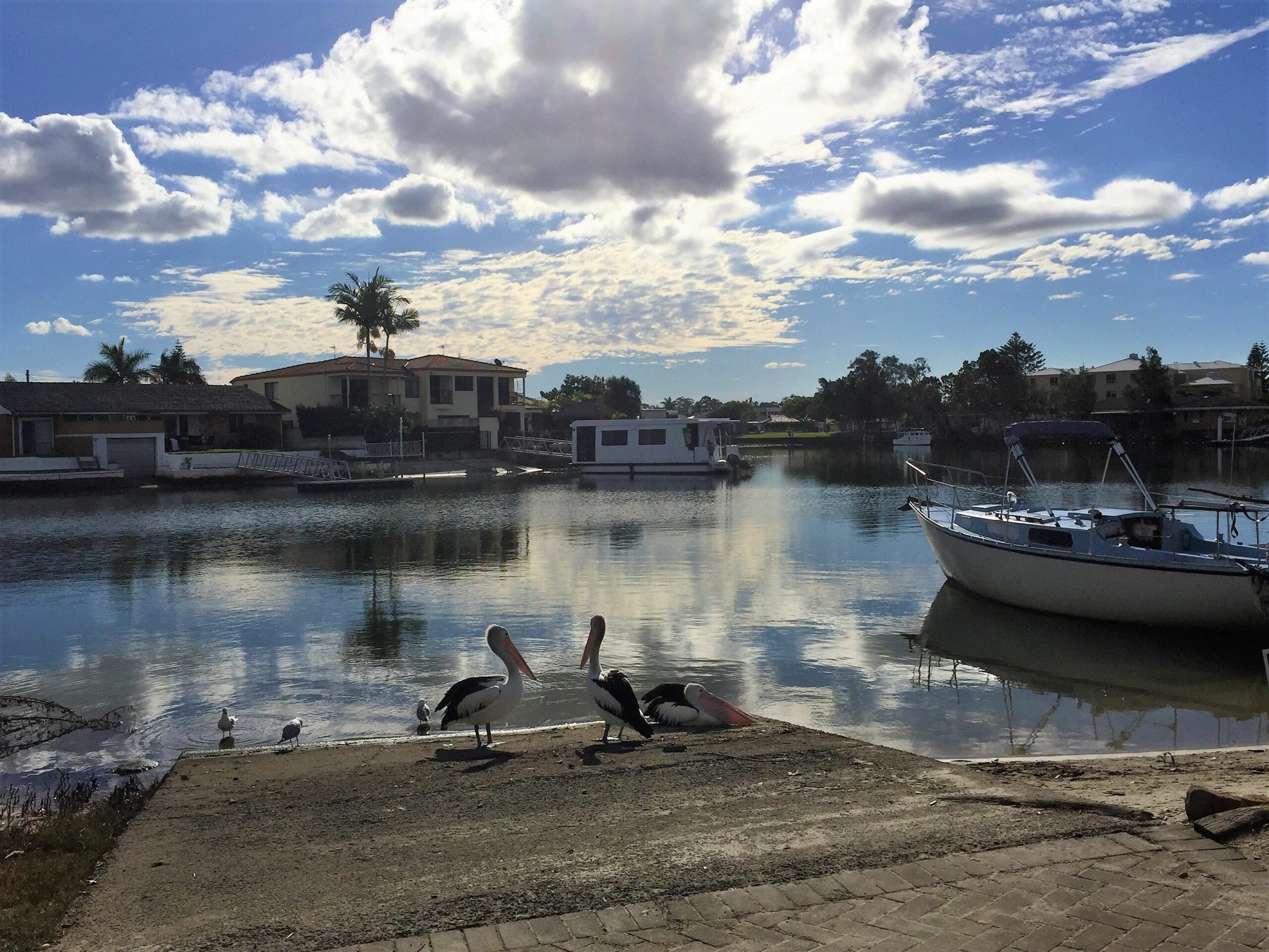 Pelican Cove