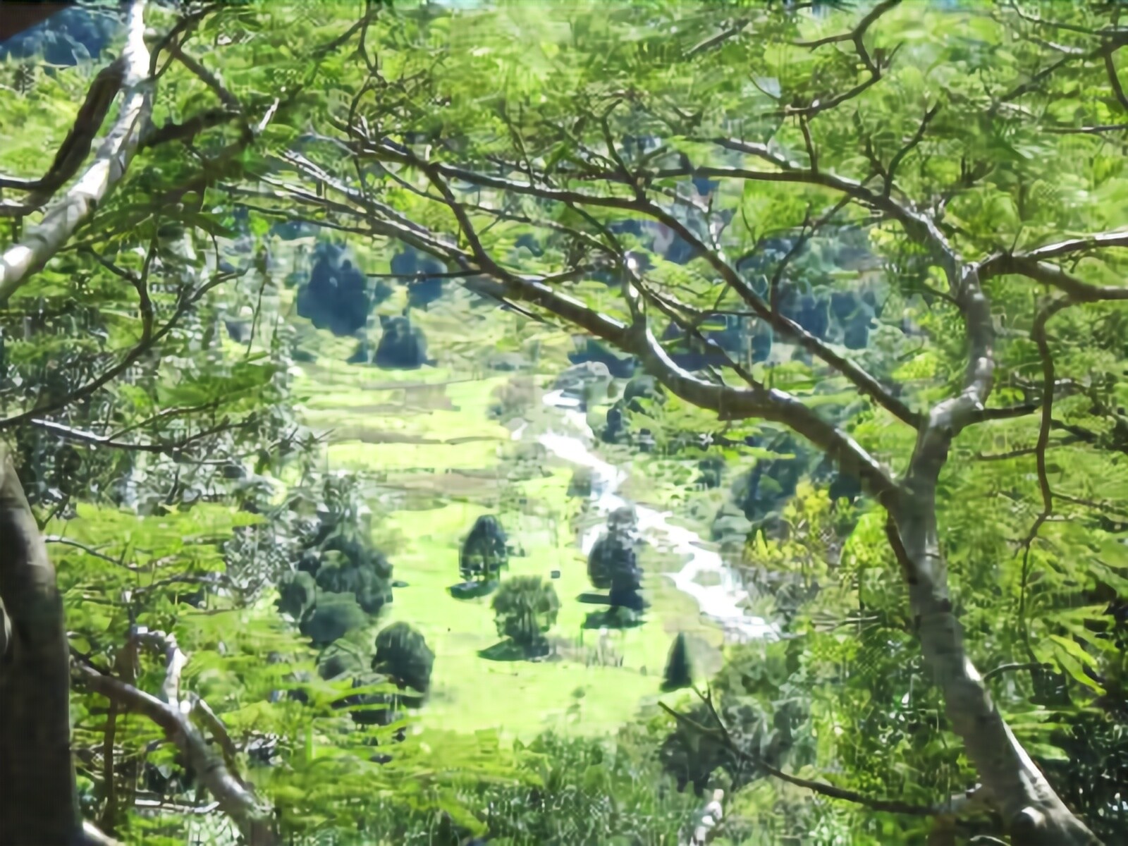 Maleny Tropical Retreat Balinese B&b