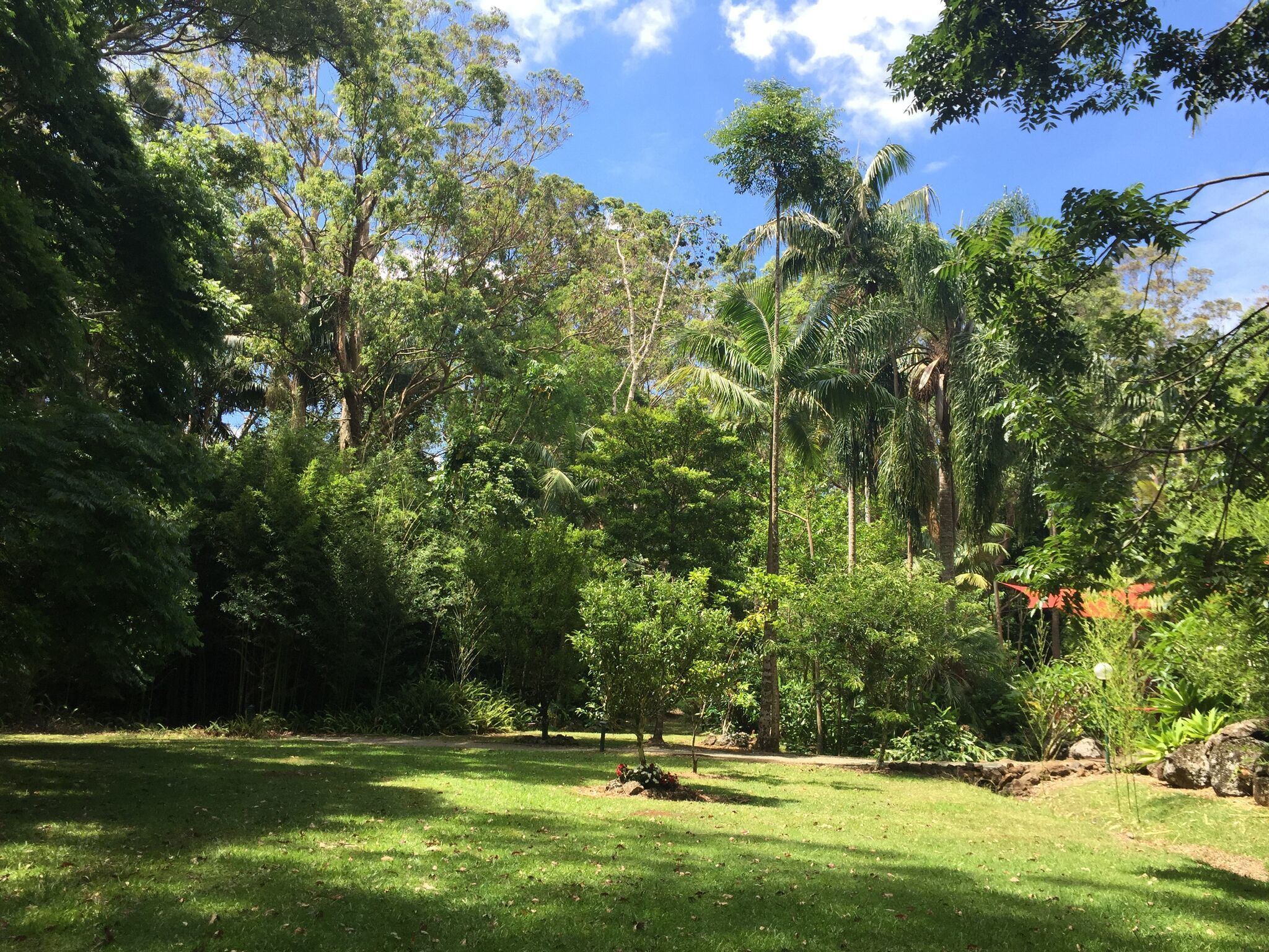 Songbirds Rainforest Retreat