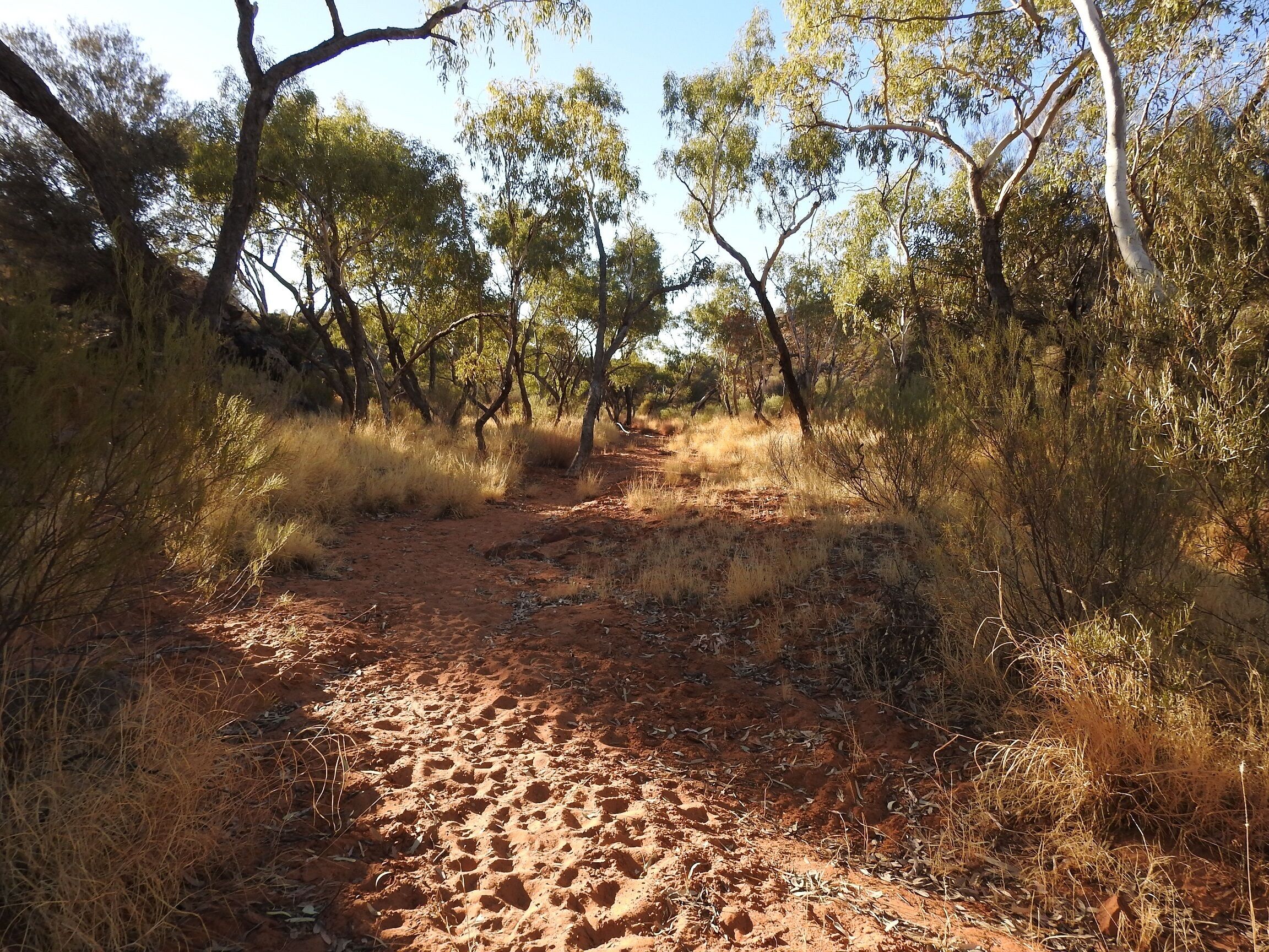 Ooraminna Station Homestead