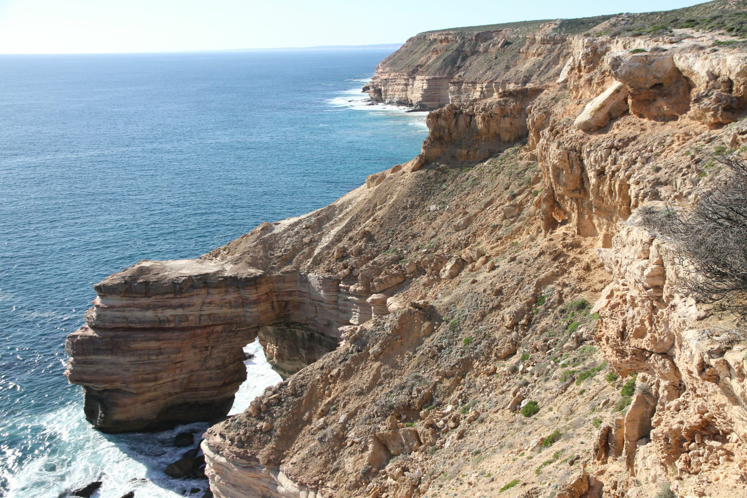 Pelican's Nest