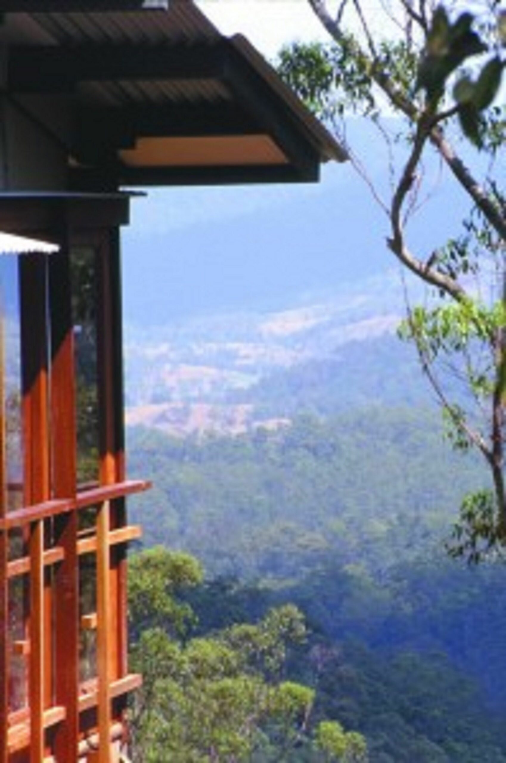 Lyola Pavilions in the Forest