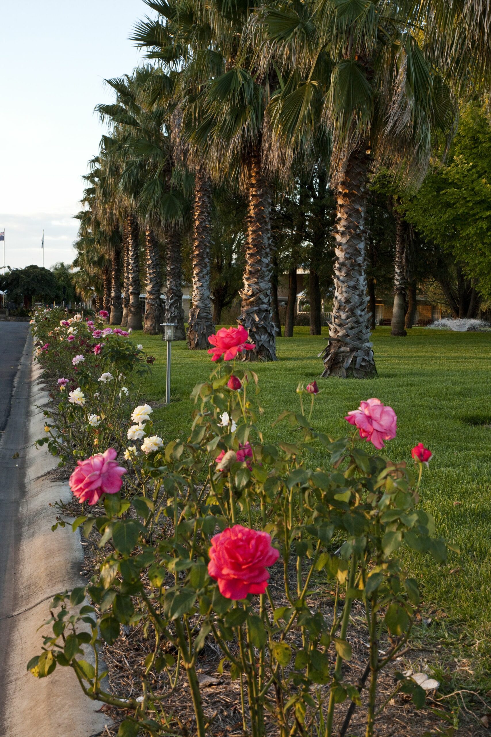 Parklands Resort & Conference Centre