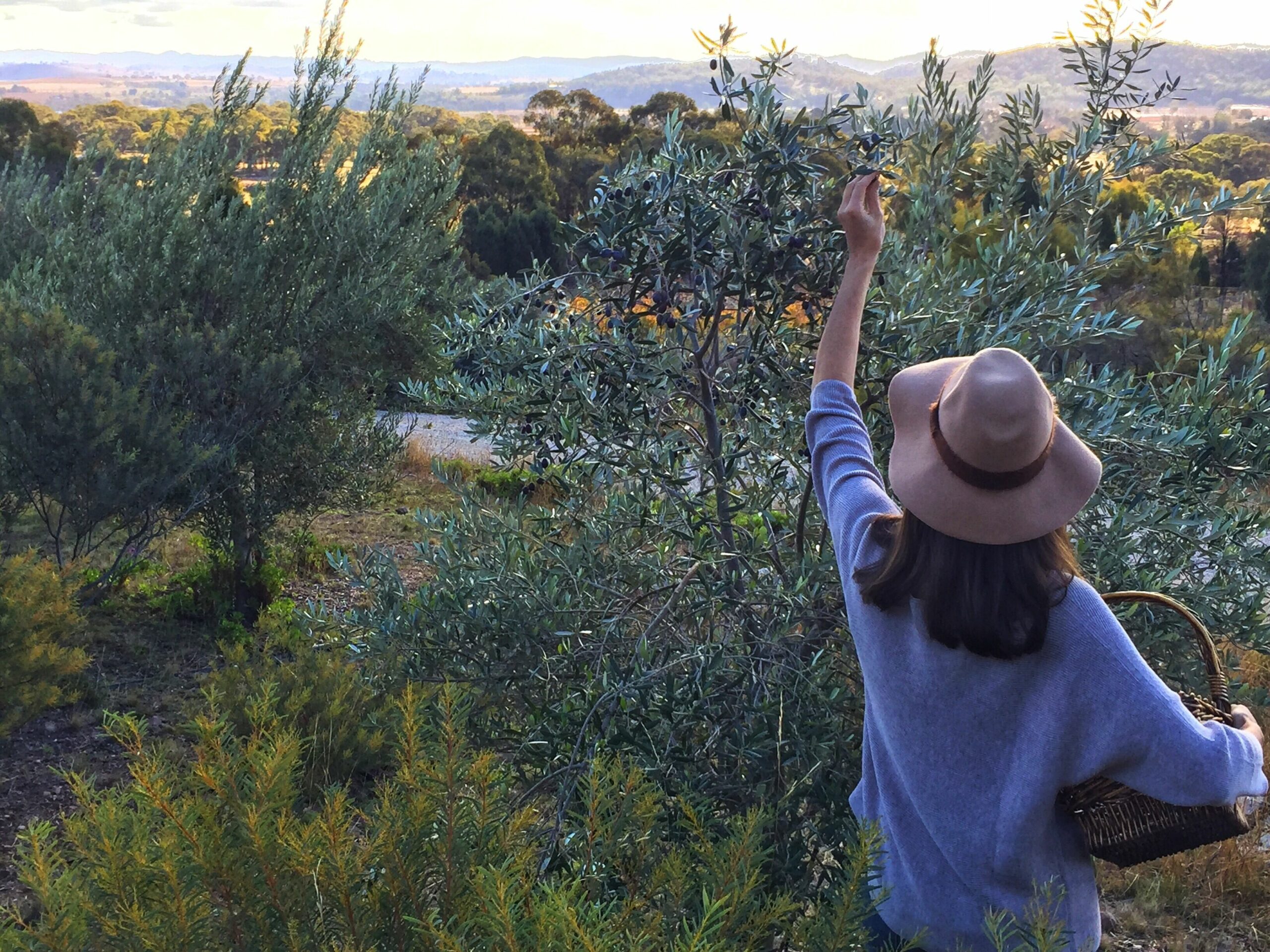 The Mudgee Homestead Guesthouse