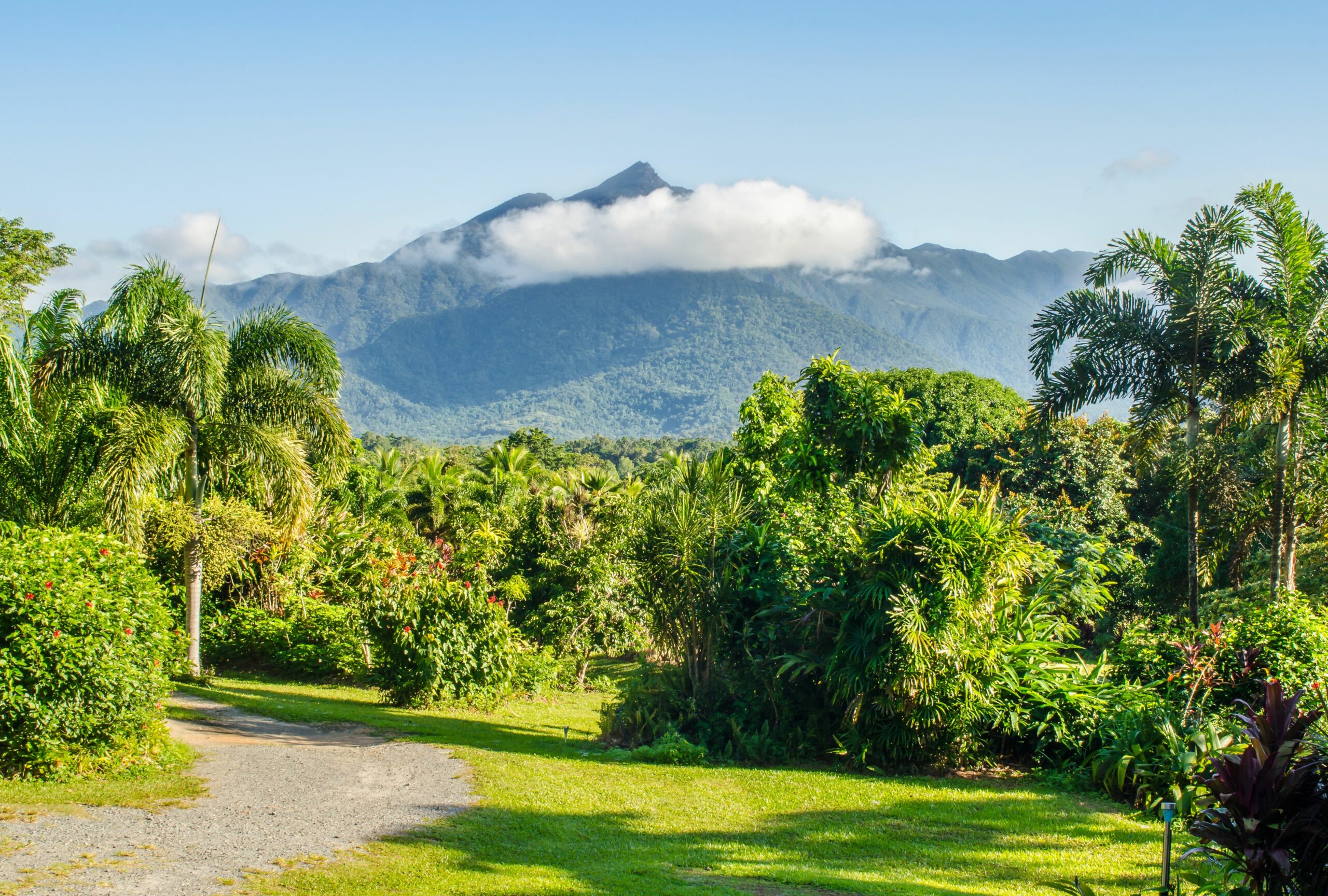 The Epiphyte Bed & Breakfast