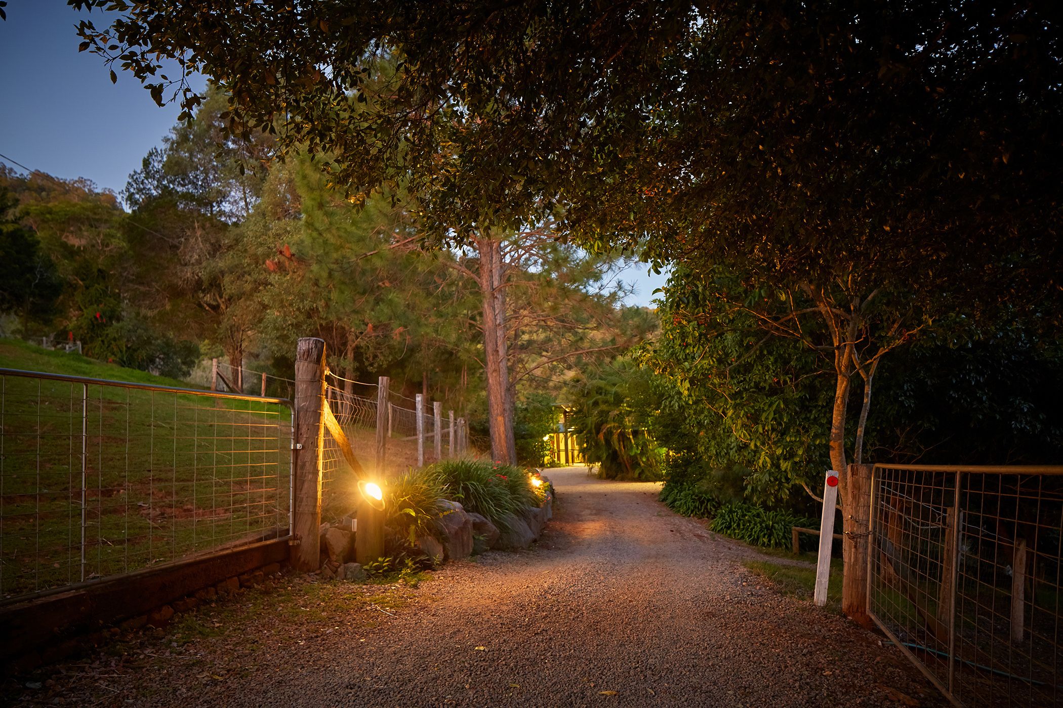 Dayboro Cottages & Llama Walks