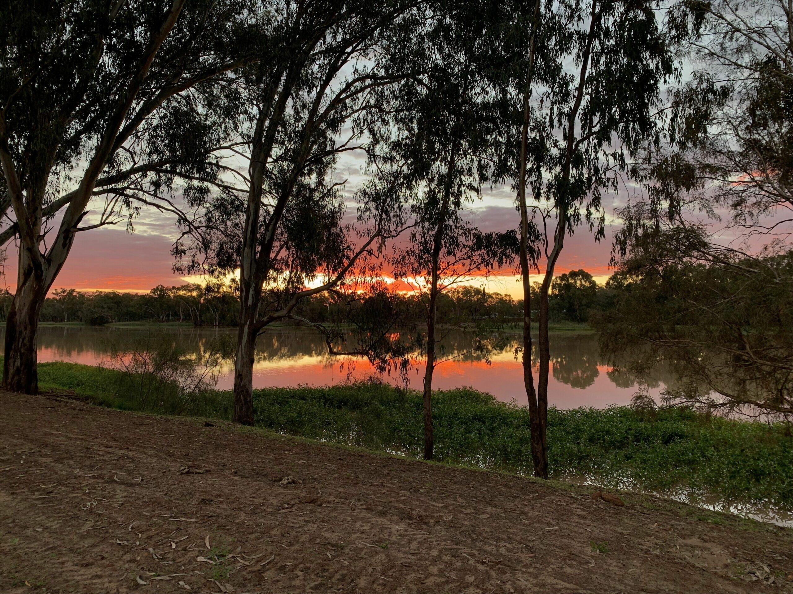 Riverland Motor Inn & River's Restaurant