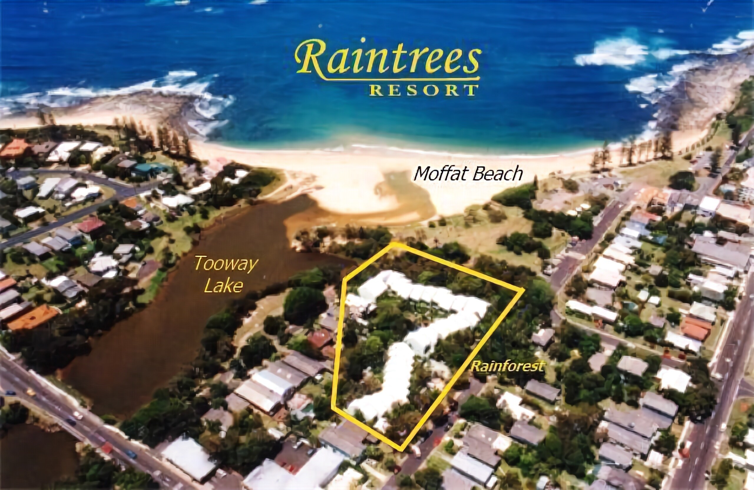 Raintrees on Moffat Beach