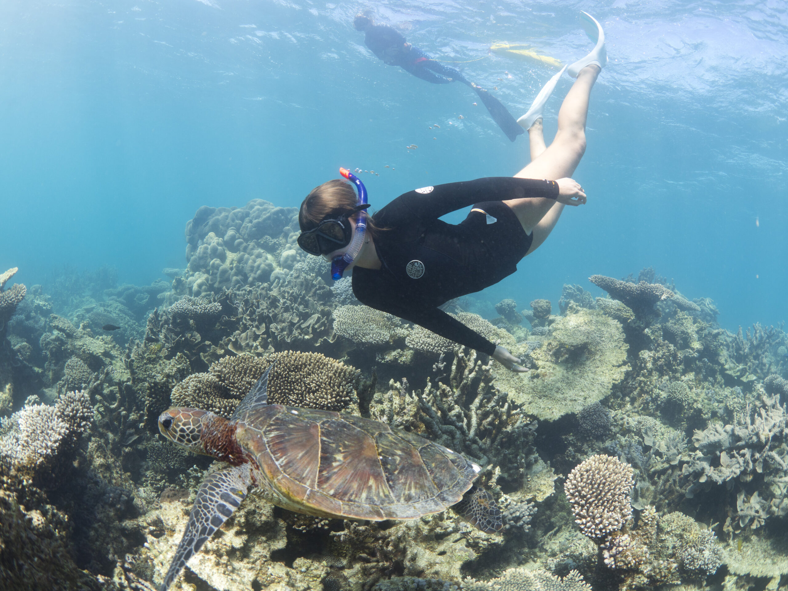2 hour Coral Viewing & Snorkel Cruise