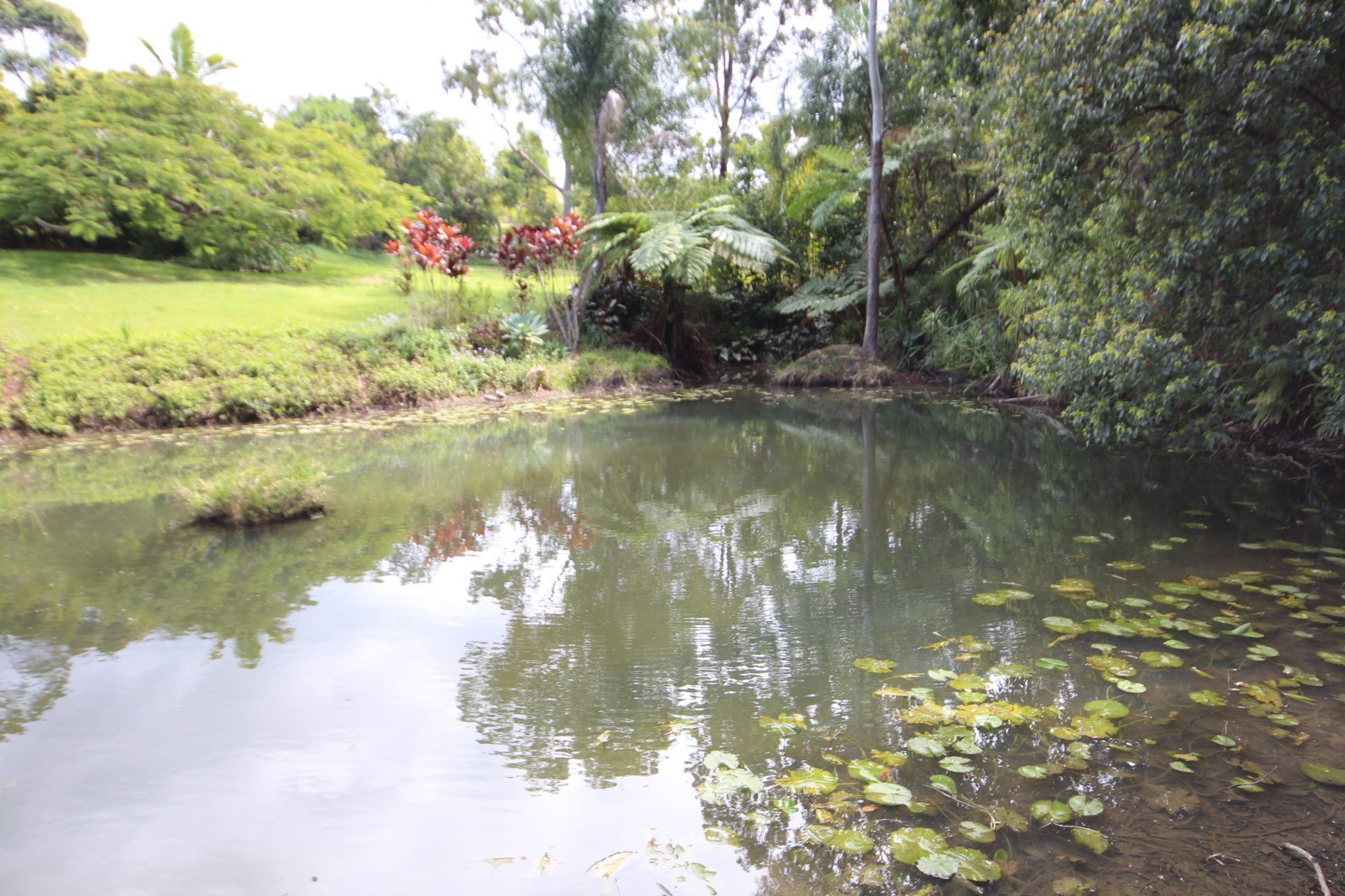 Boambee Hideaway - Boambee, NSW