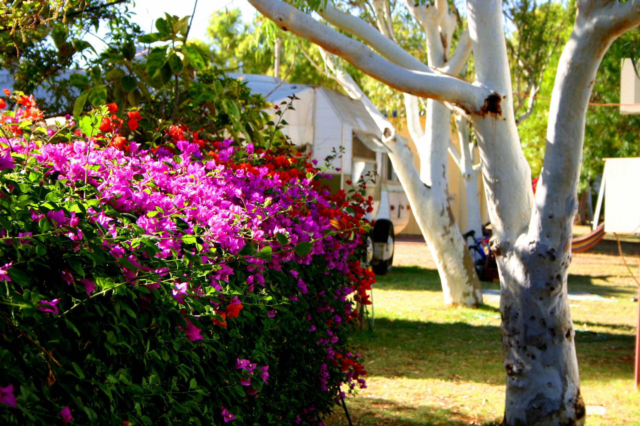 Coral Coast Tourist Park Carnarvon