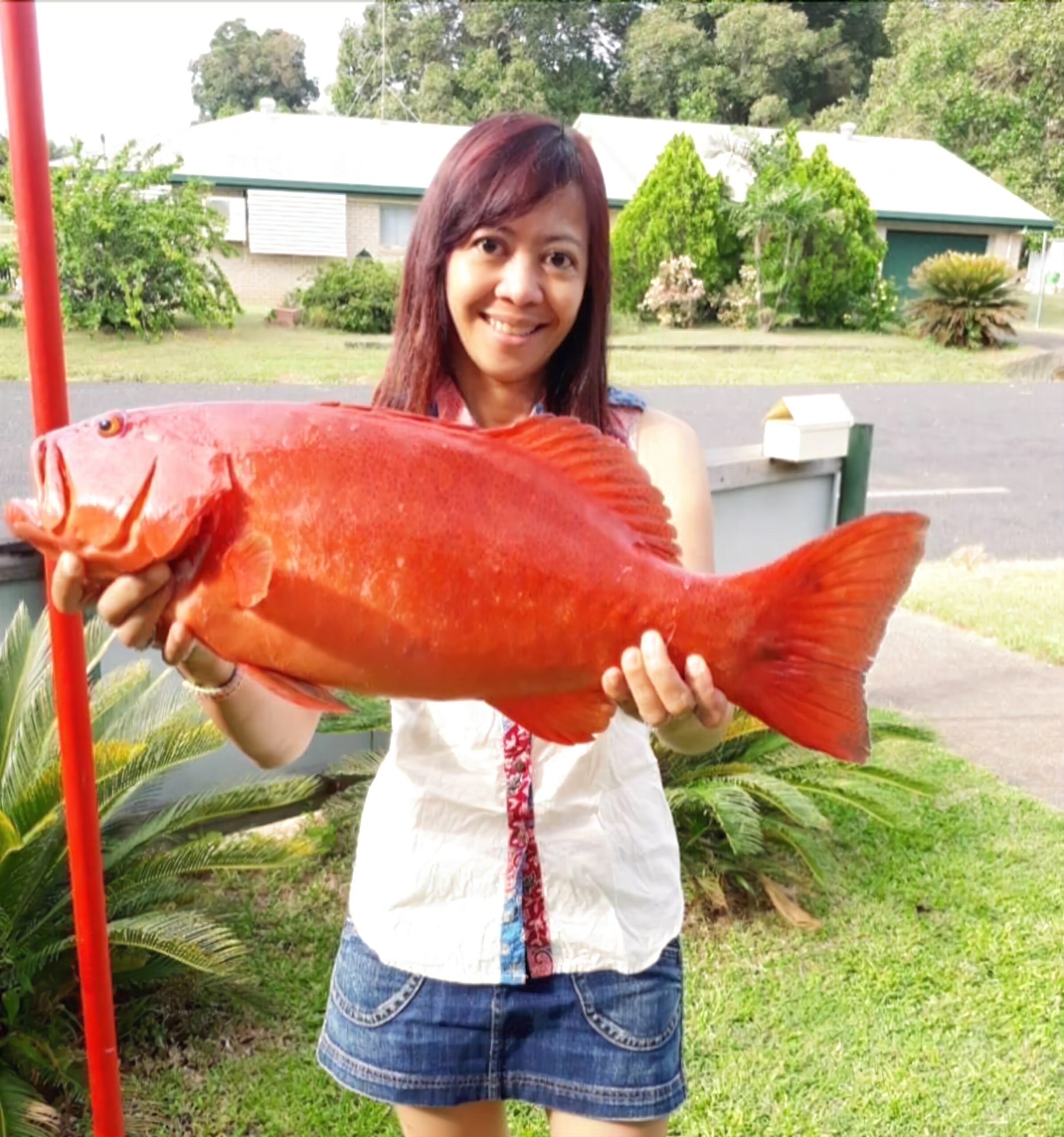 Flying Fish Point Tourist Park