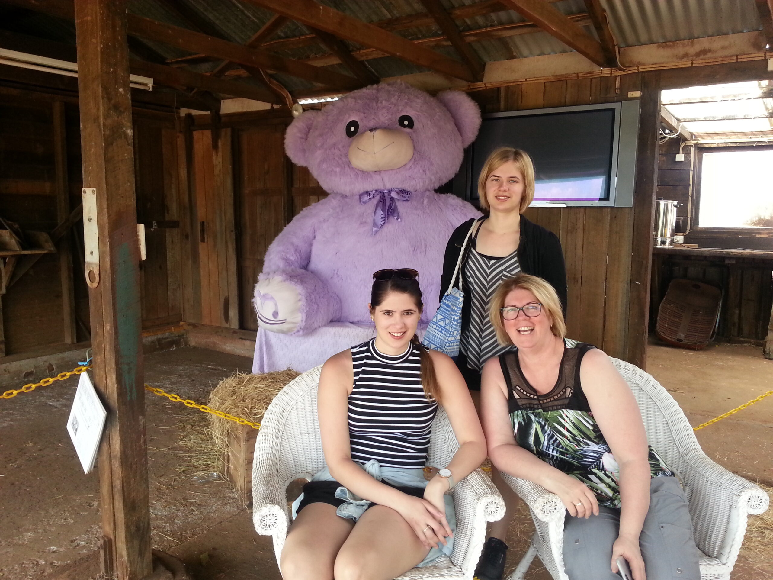 Bridestowe Lavender Farm shuttle