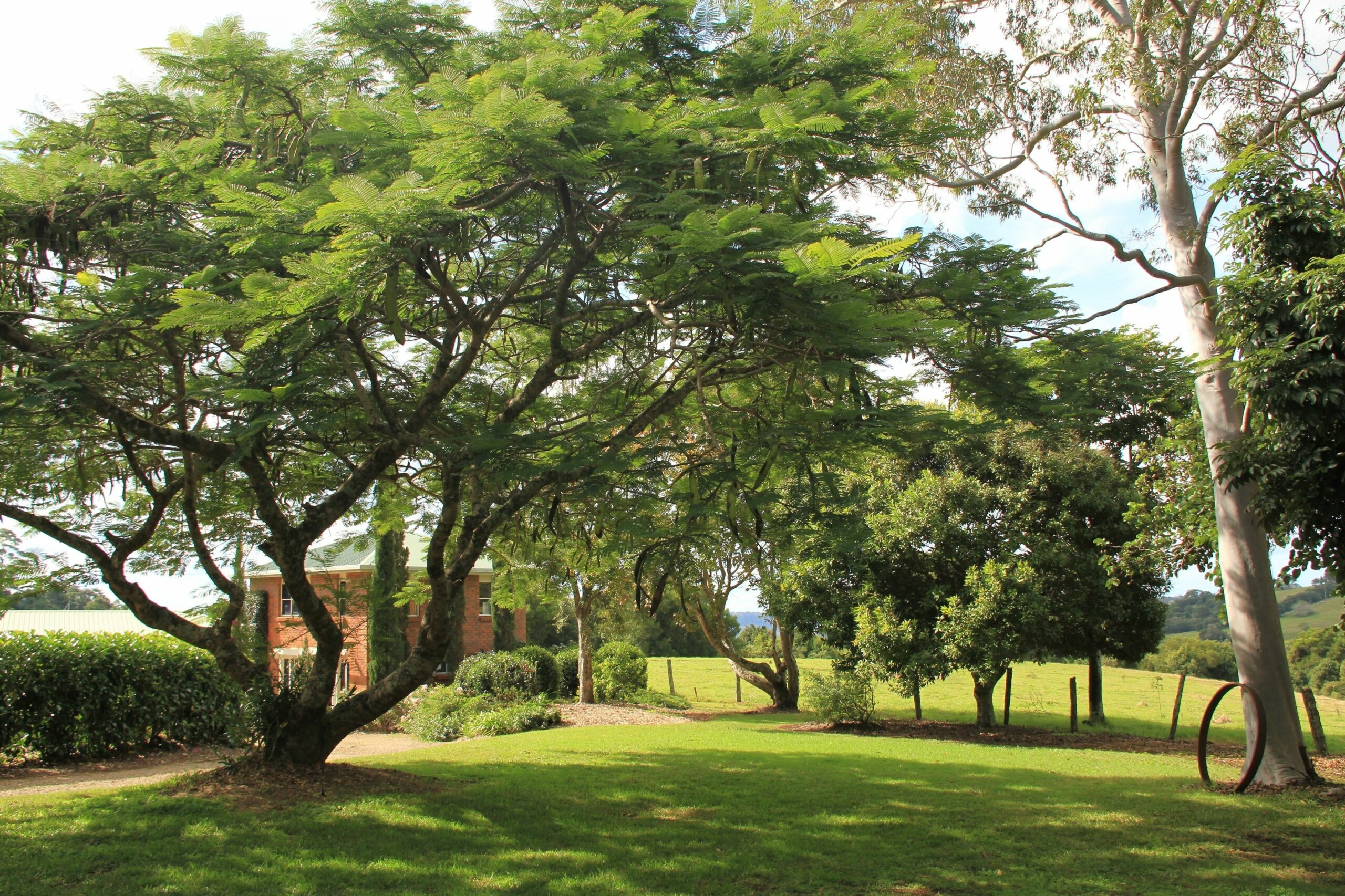 Seasons of Maleny B&B