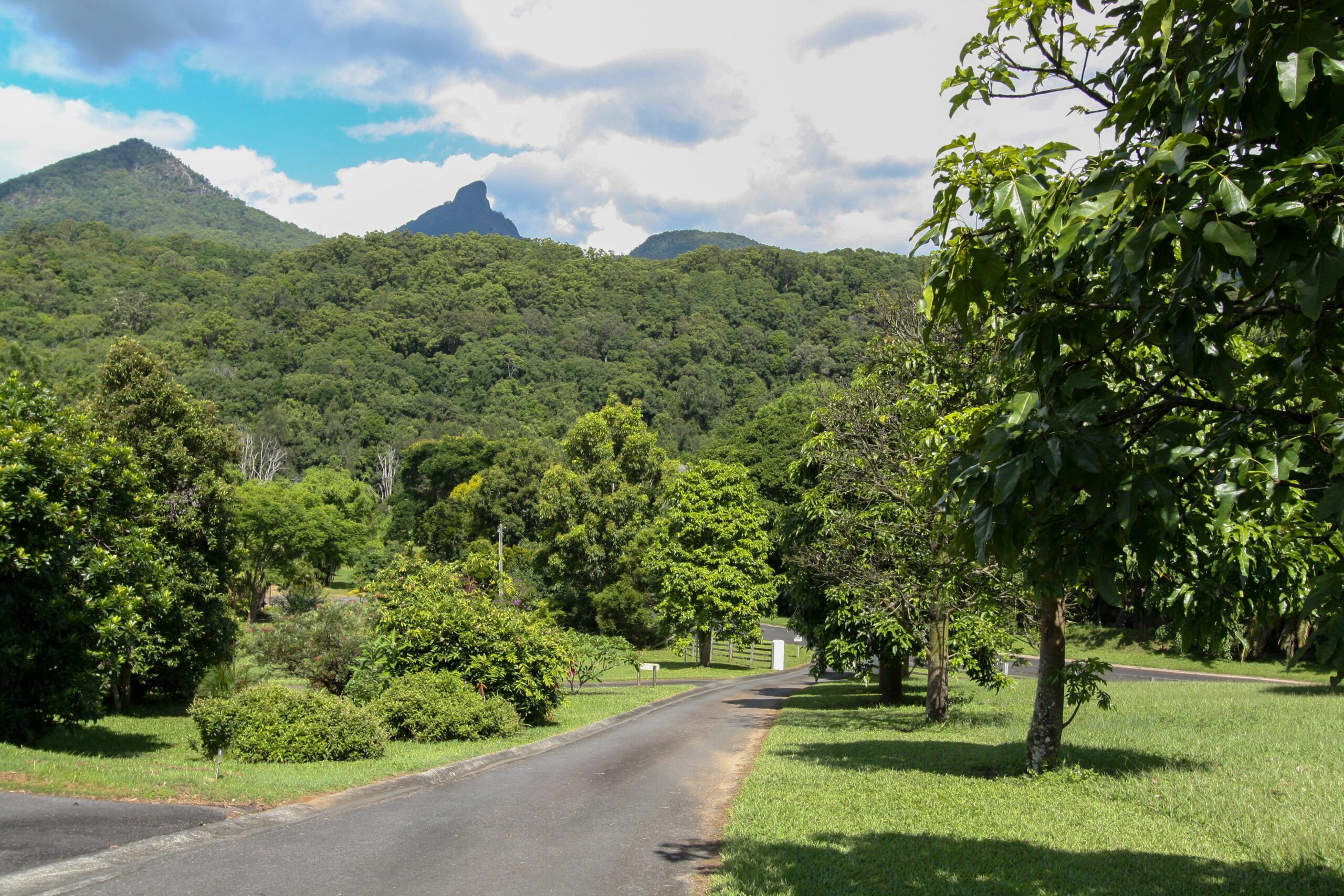 A View of Mt Warning Bed and Breakfast