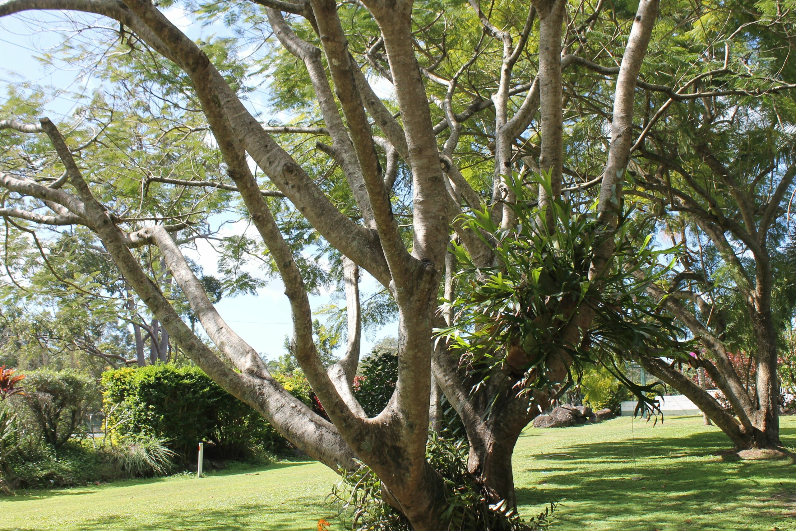 Buderim Fiesta Motel